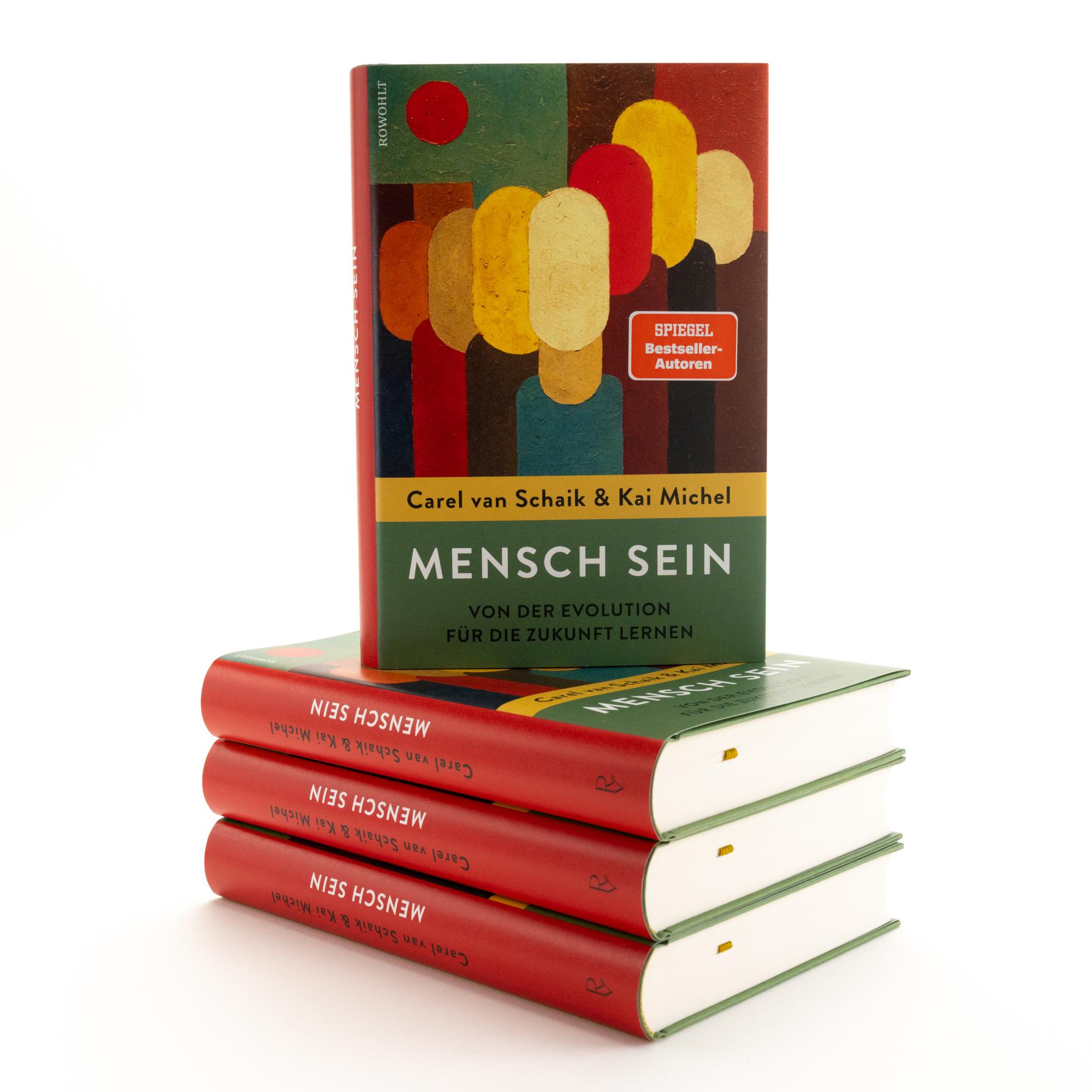 Beispielinhalt (Bild) Mensch sein