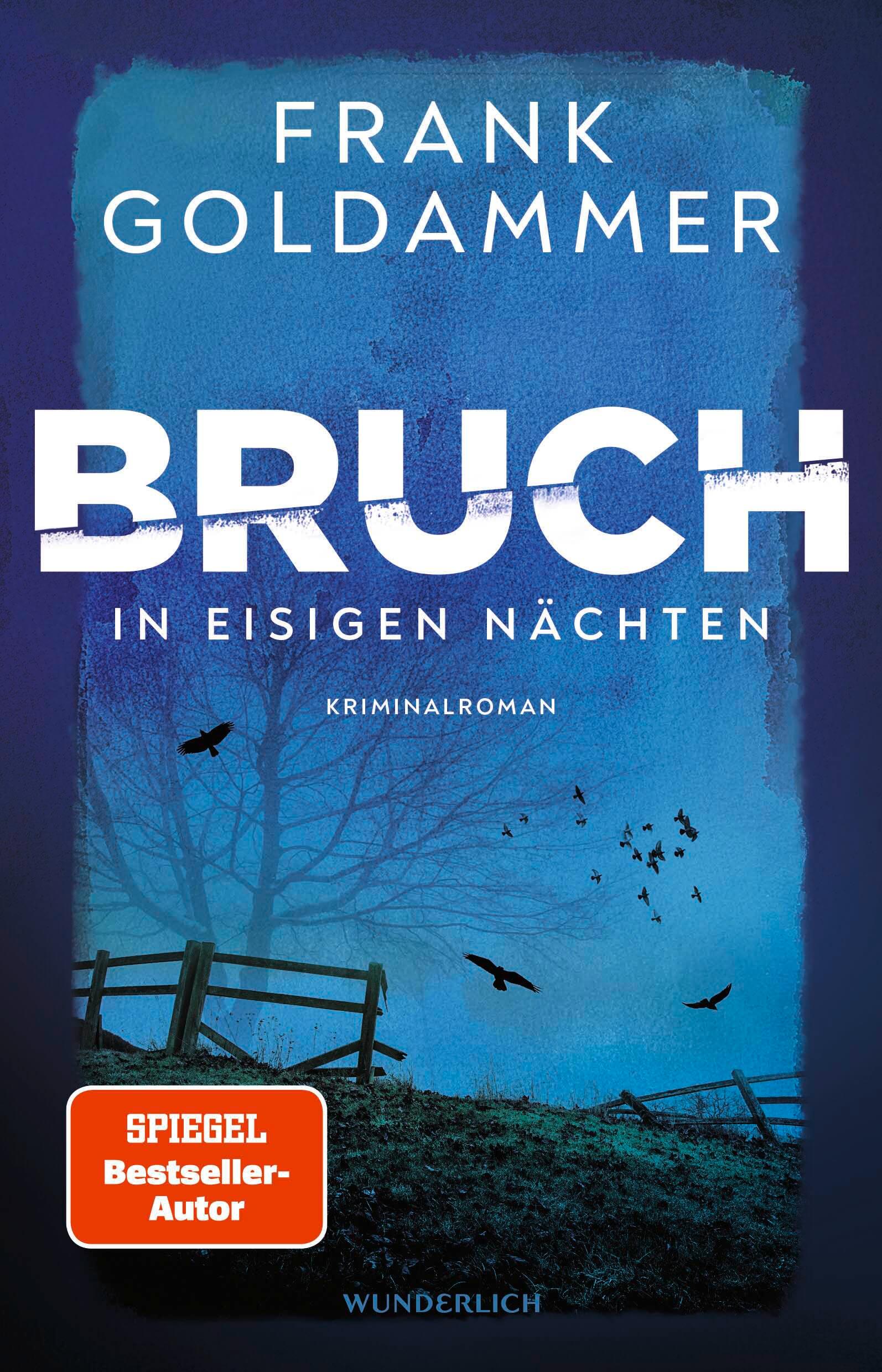 Vorderes Coverbild Bruch: In eisigen Nächten