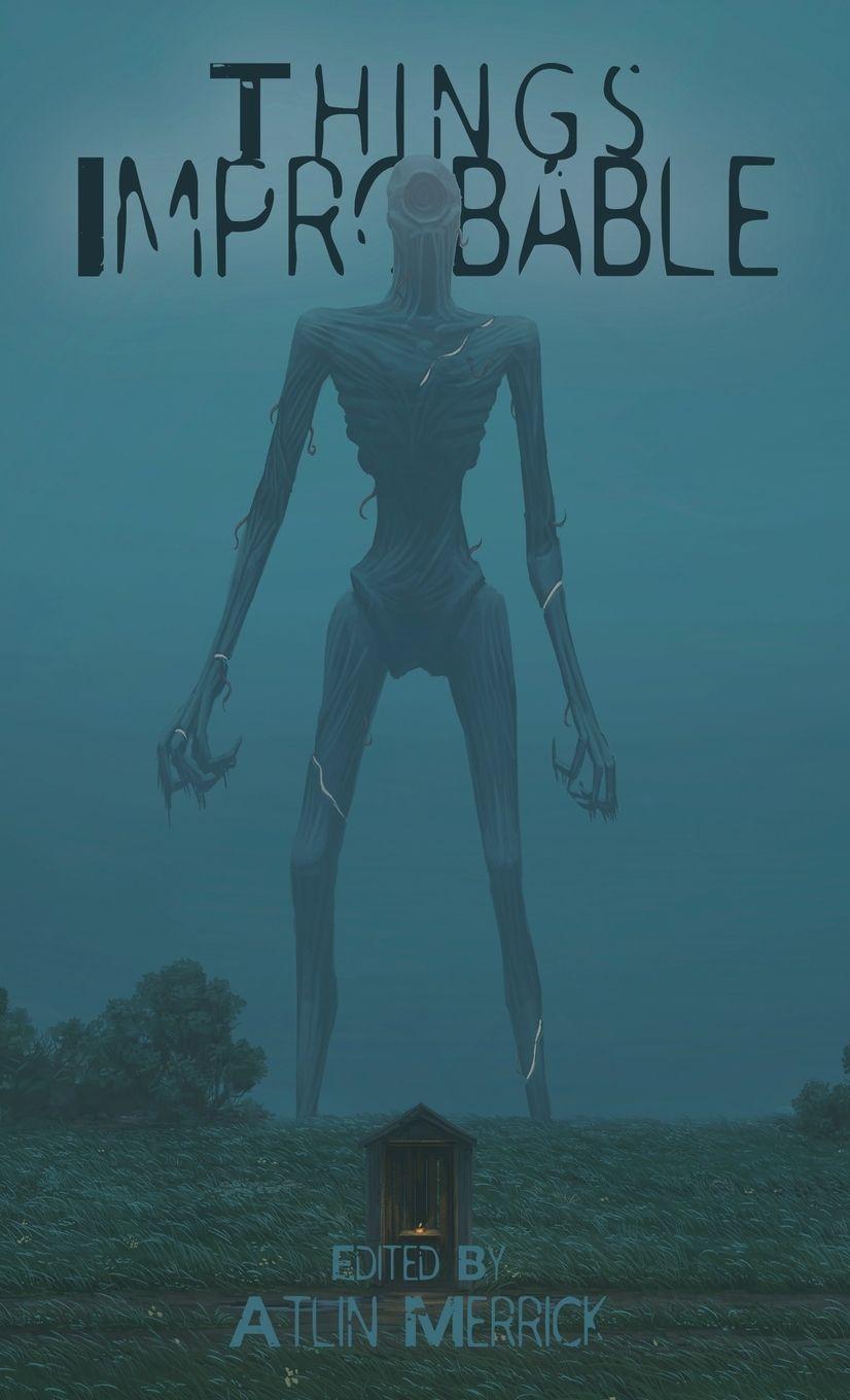 Vorderes Coverbild Things Improbable