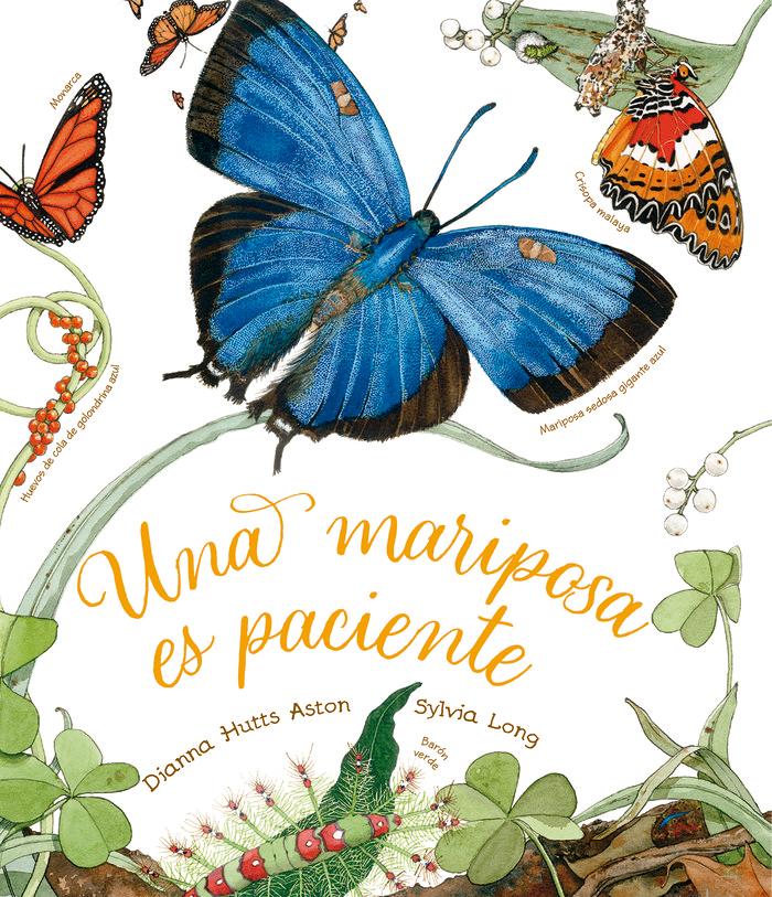 Vorderes Coverbild Una mariposa es paciente
