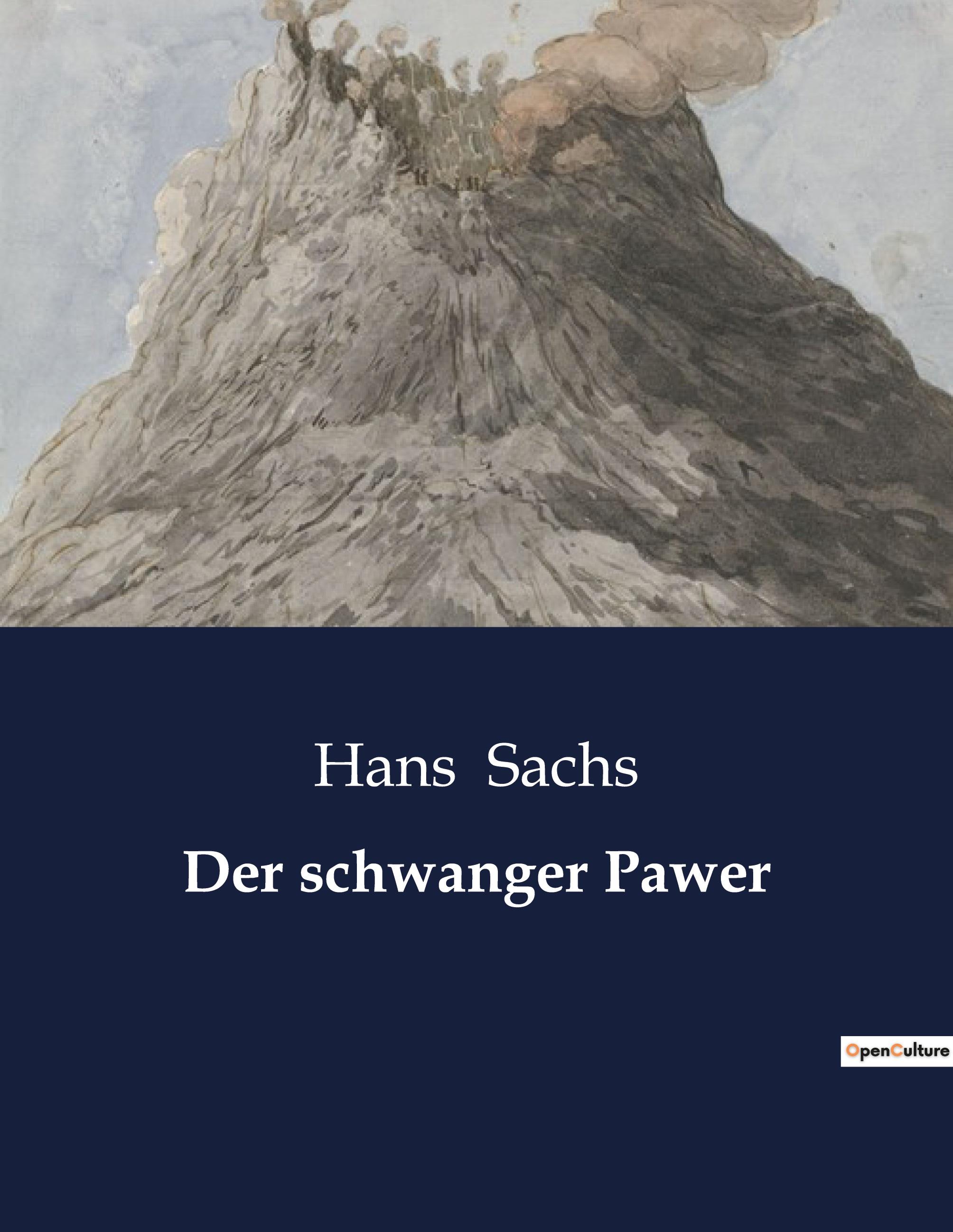 Vorderes Coverbild Der schwanger Pawer