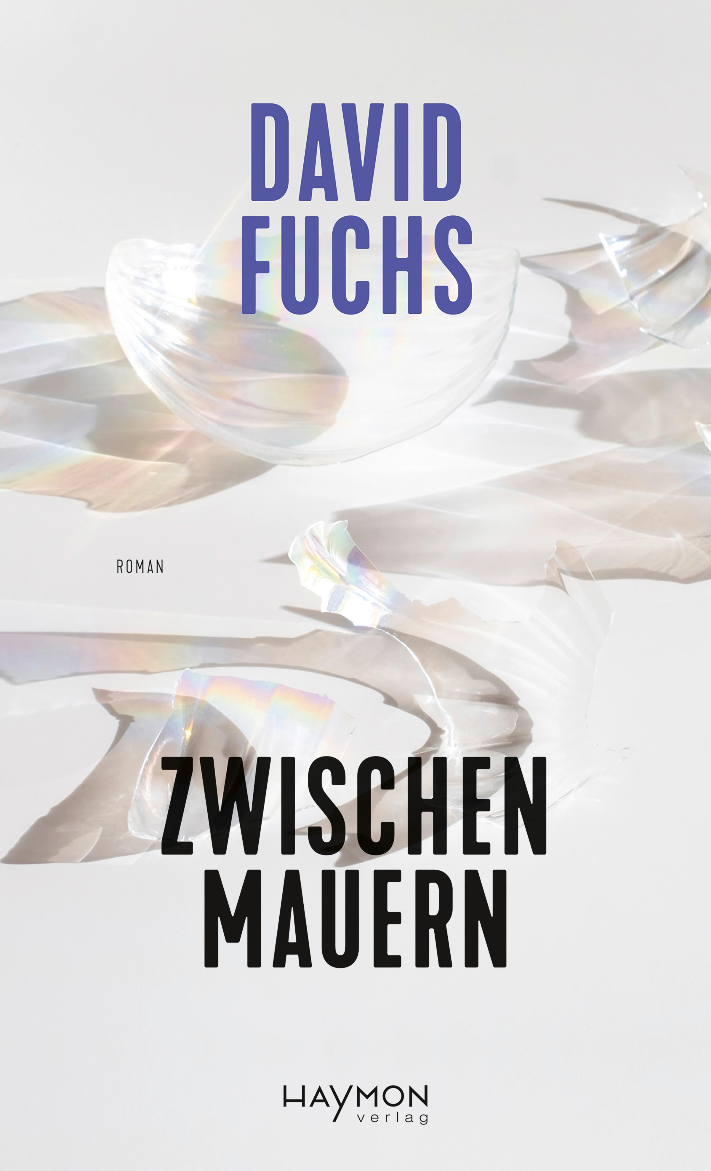 Vorderes Coverbild Zwischen Mauern