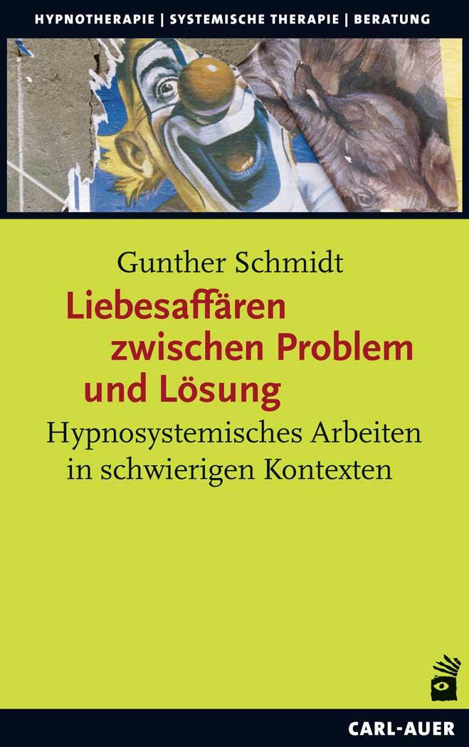 Vorderes Coverbild Liebesaffären zwischen Problem und Lösung