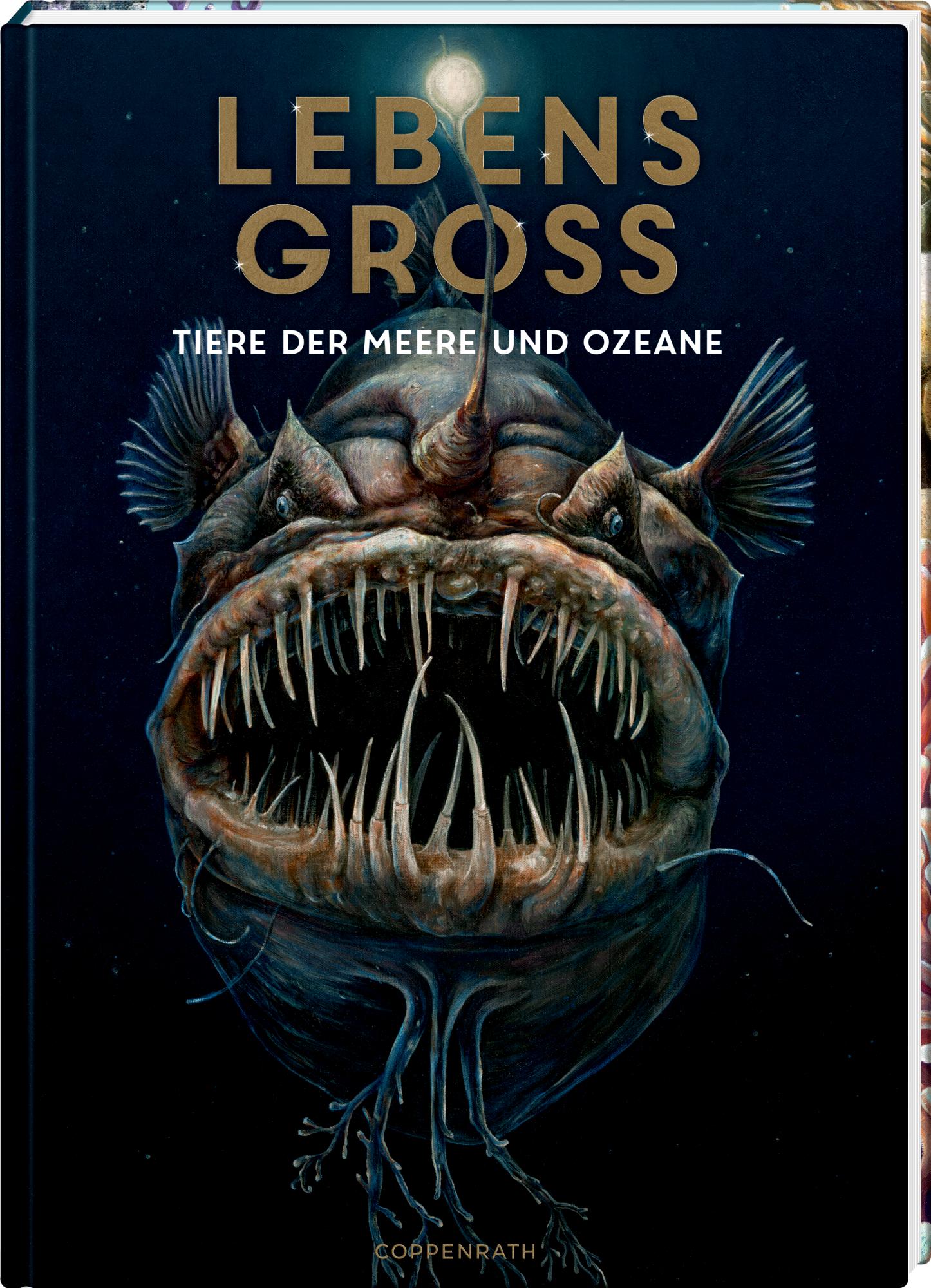 Vorderes Coverbild Lebensgroß