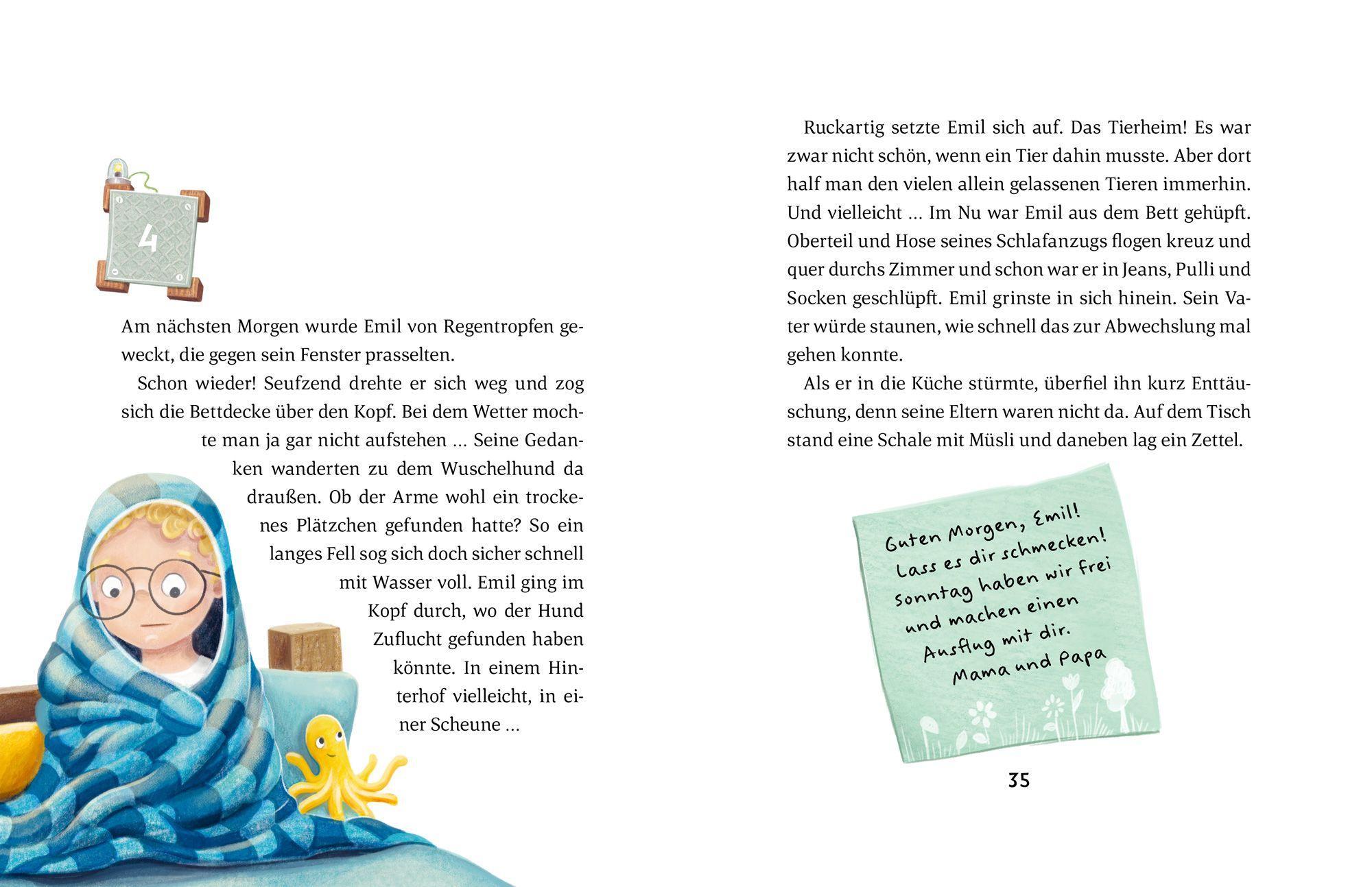 Beispielinhalt (Bild) Emil Einstein (Bd. 4)