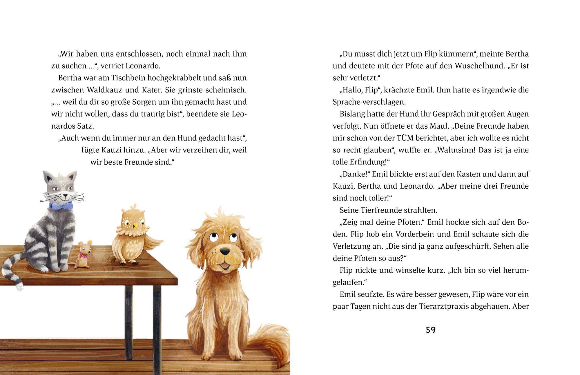 Beispielinhalt (Bild) Emil Einstein (Bd. 4)