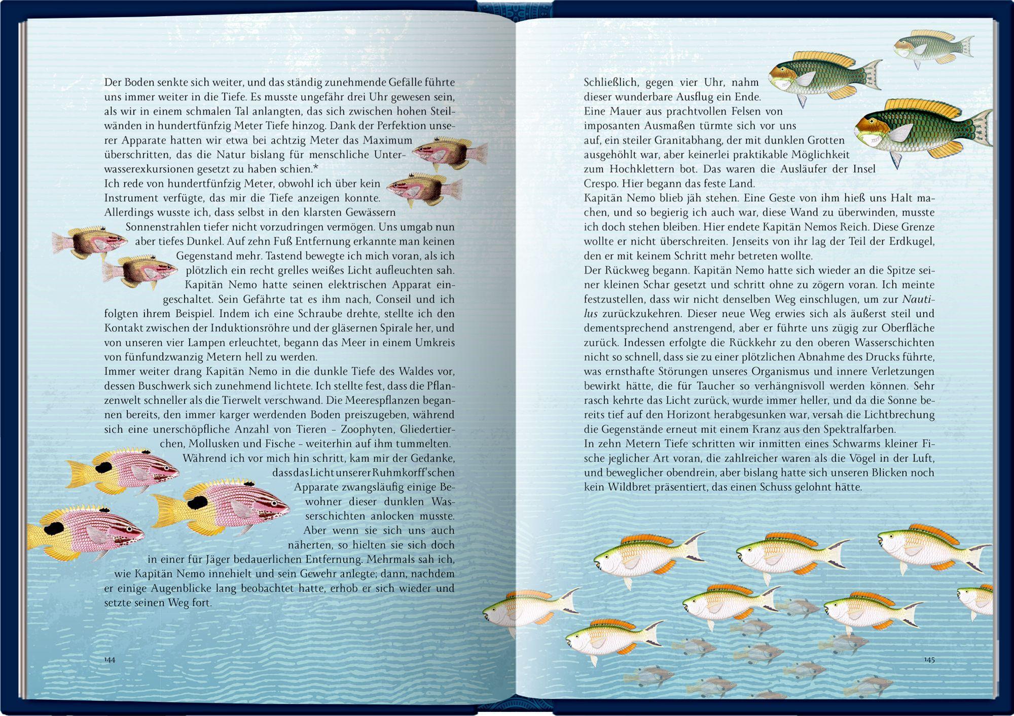 Beispielinhalt (Bild) 20 000 Meilen unter den Meeren