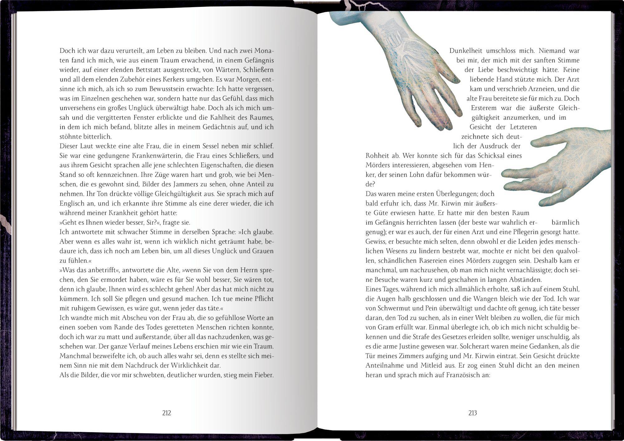 Beispielinhalt (Bild) Frankenstein