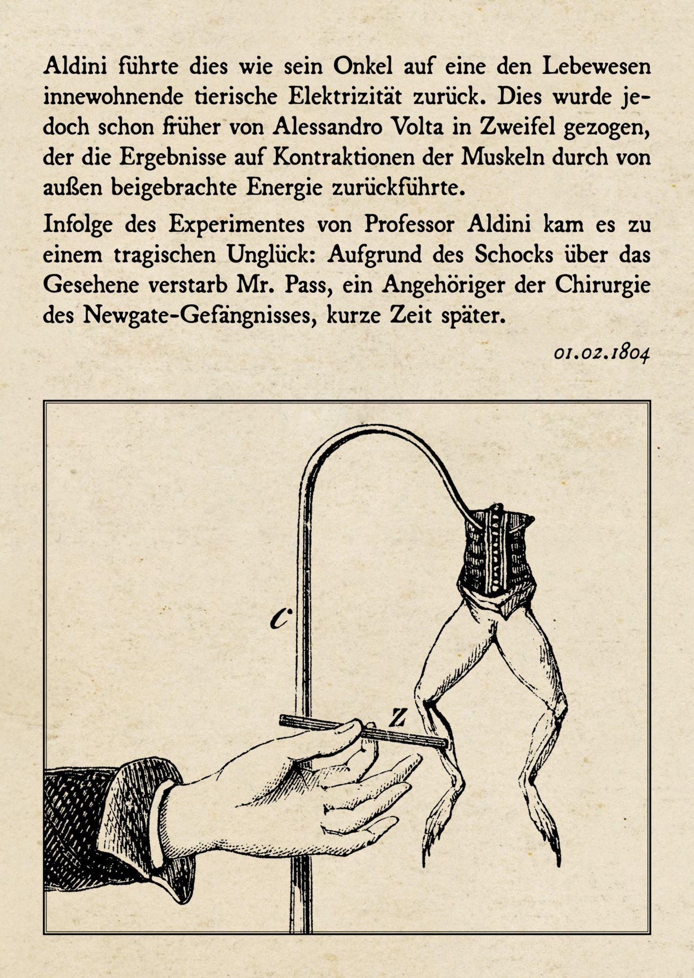 Beispielinhalt (Bild) Frankenstein