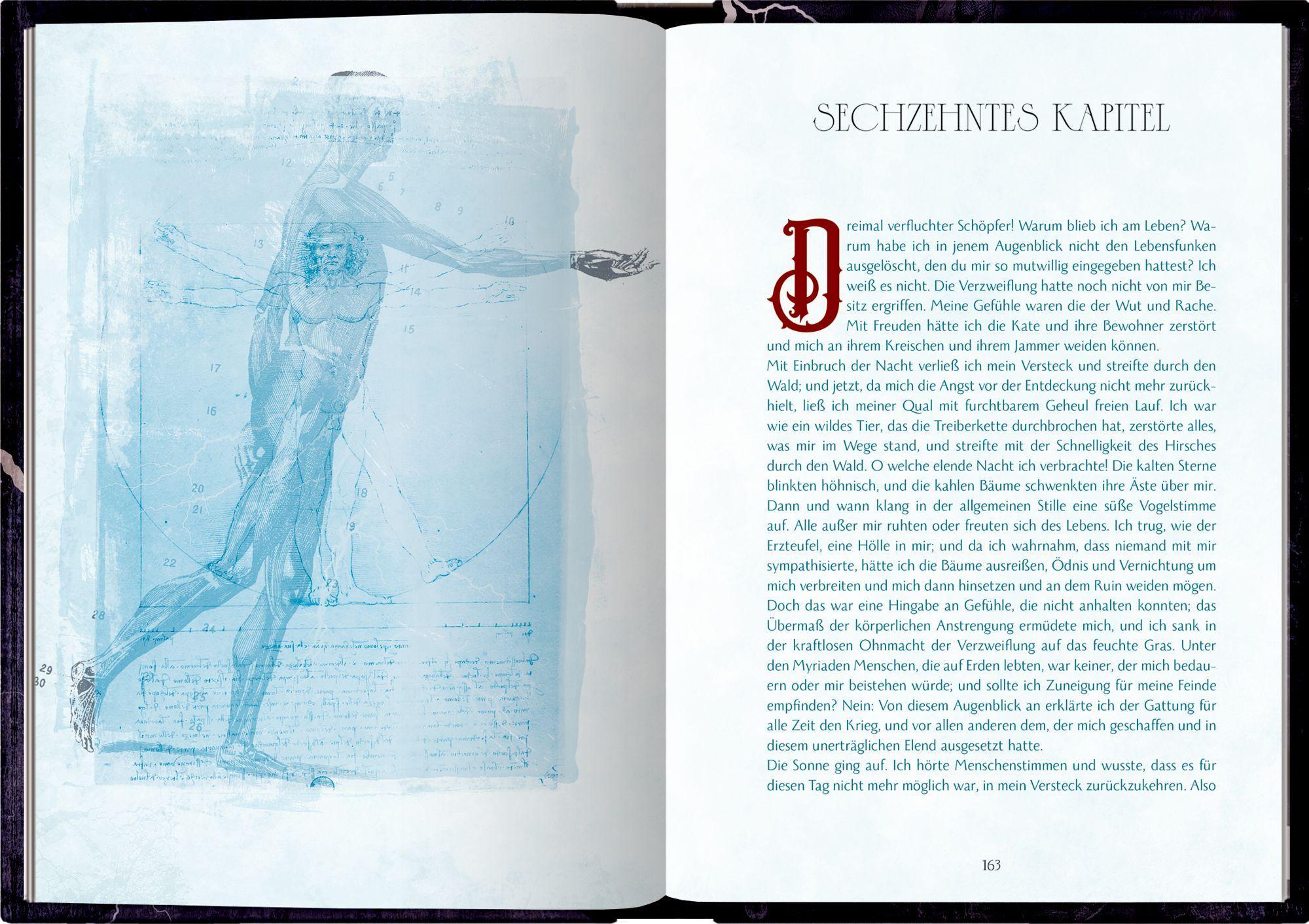 Beispielinhalt (Bild) Frankenstein