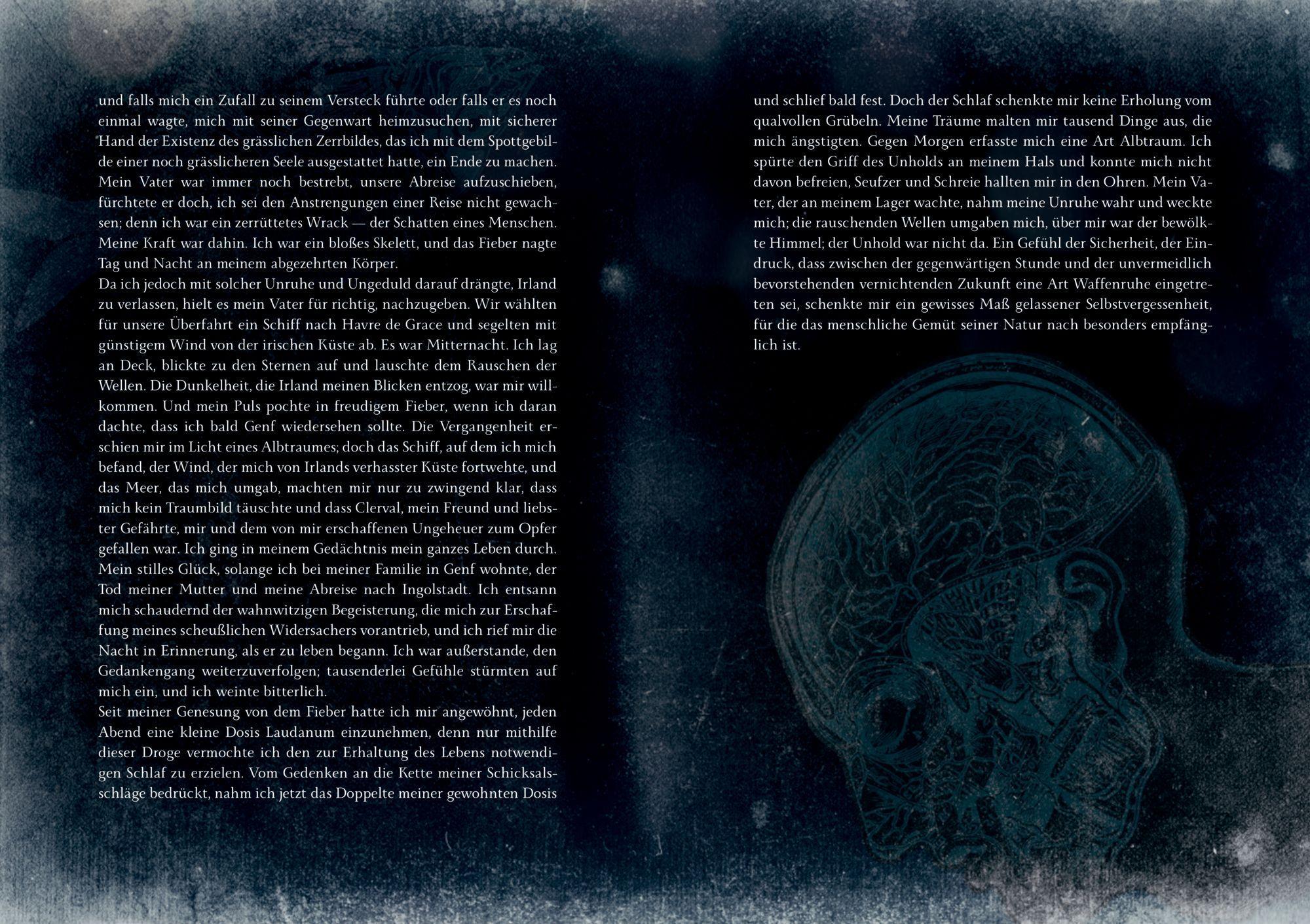 Beispielinhalt (Bild) Frankenstein