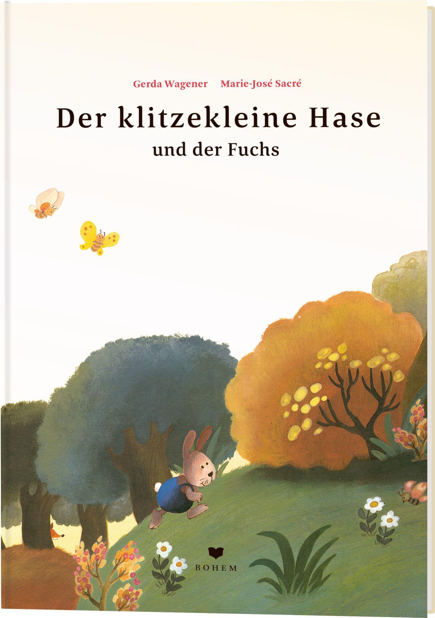 Vorderes Coverbild Der klitzekleine Hase und der Fuchs