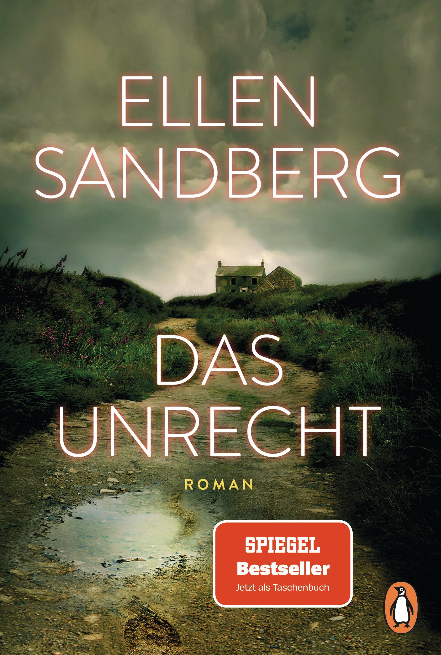 Vorderes Coverbild Das Unrecht