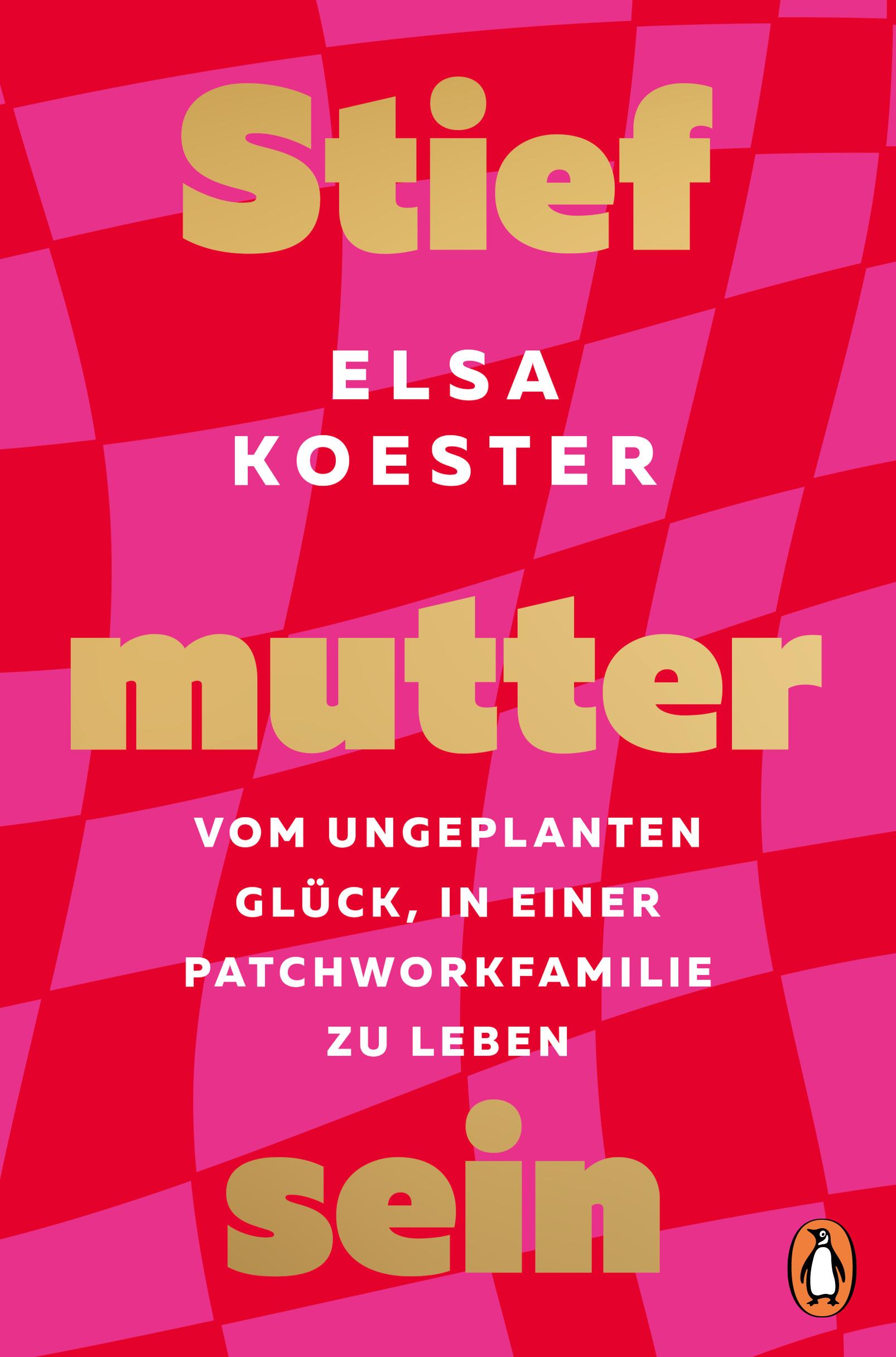 Vorderes Coverbild Stiefmutter sein