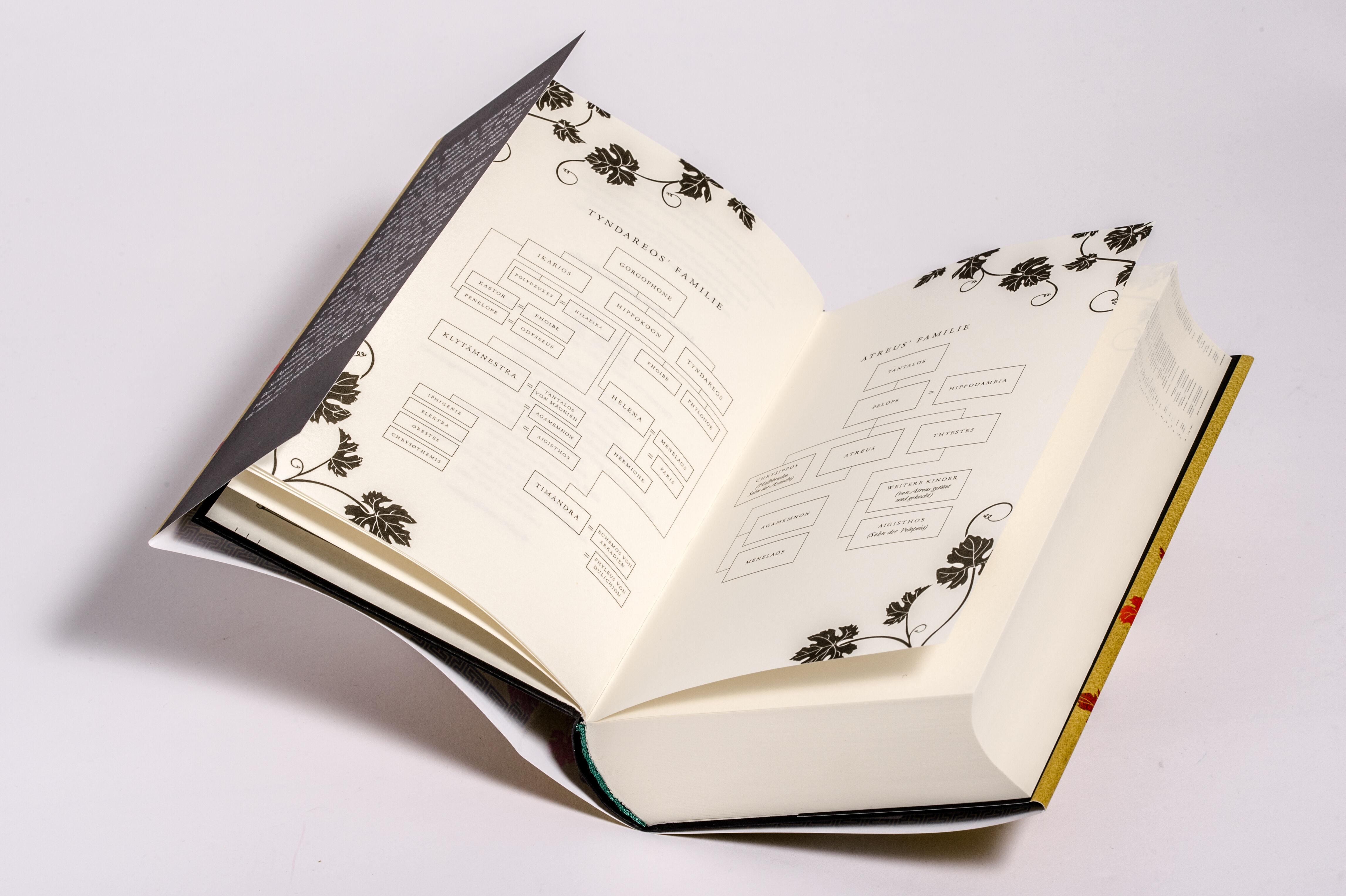 Beispielinhalt (Bild) Klytämnestra