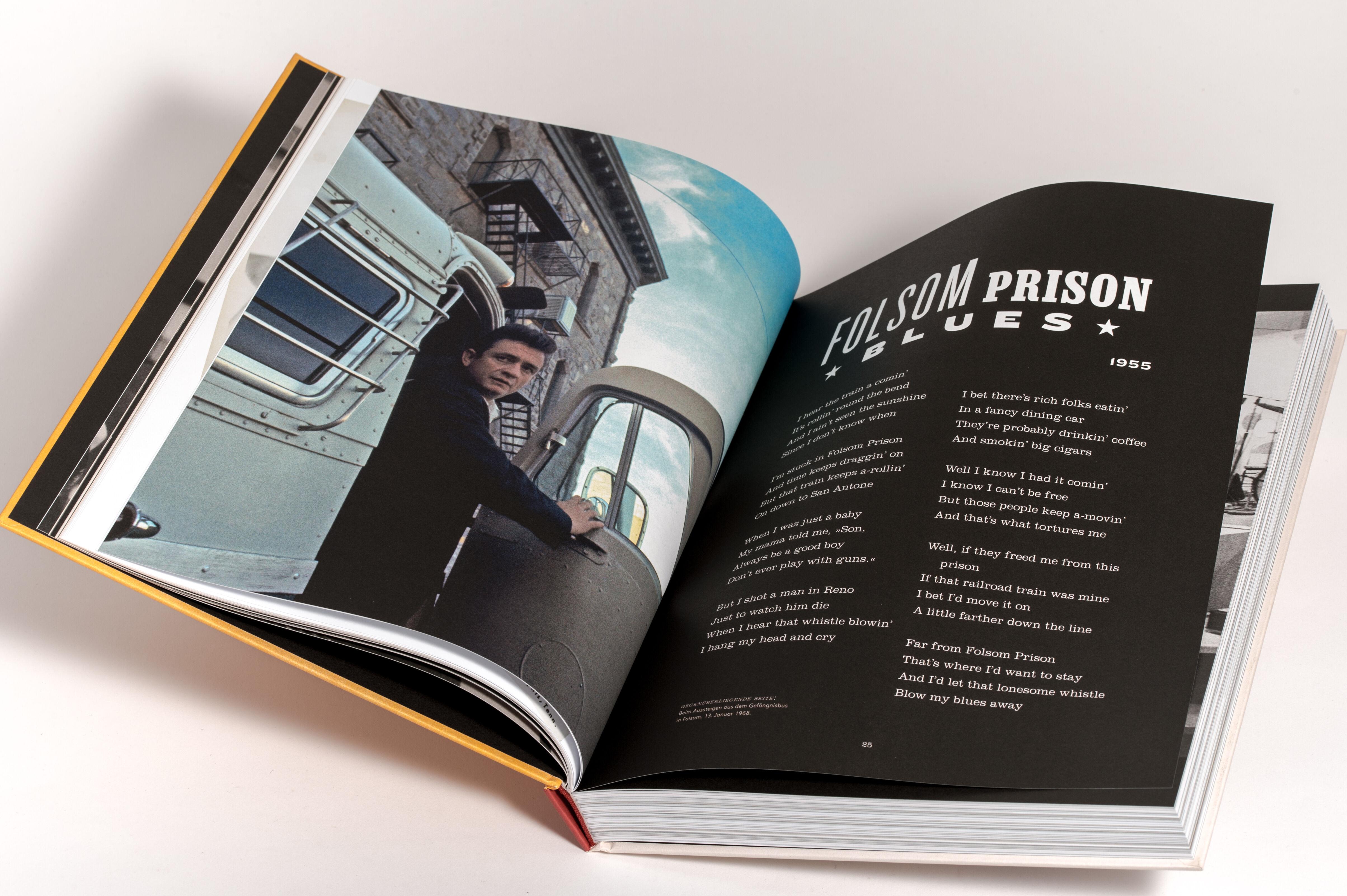 Beispielinhalt (Bild) The Life in Lyrics