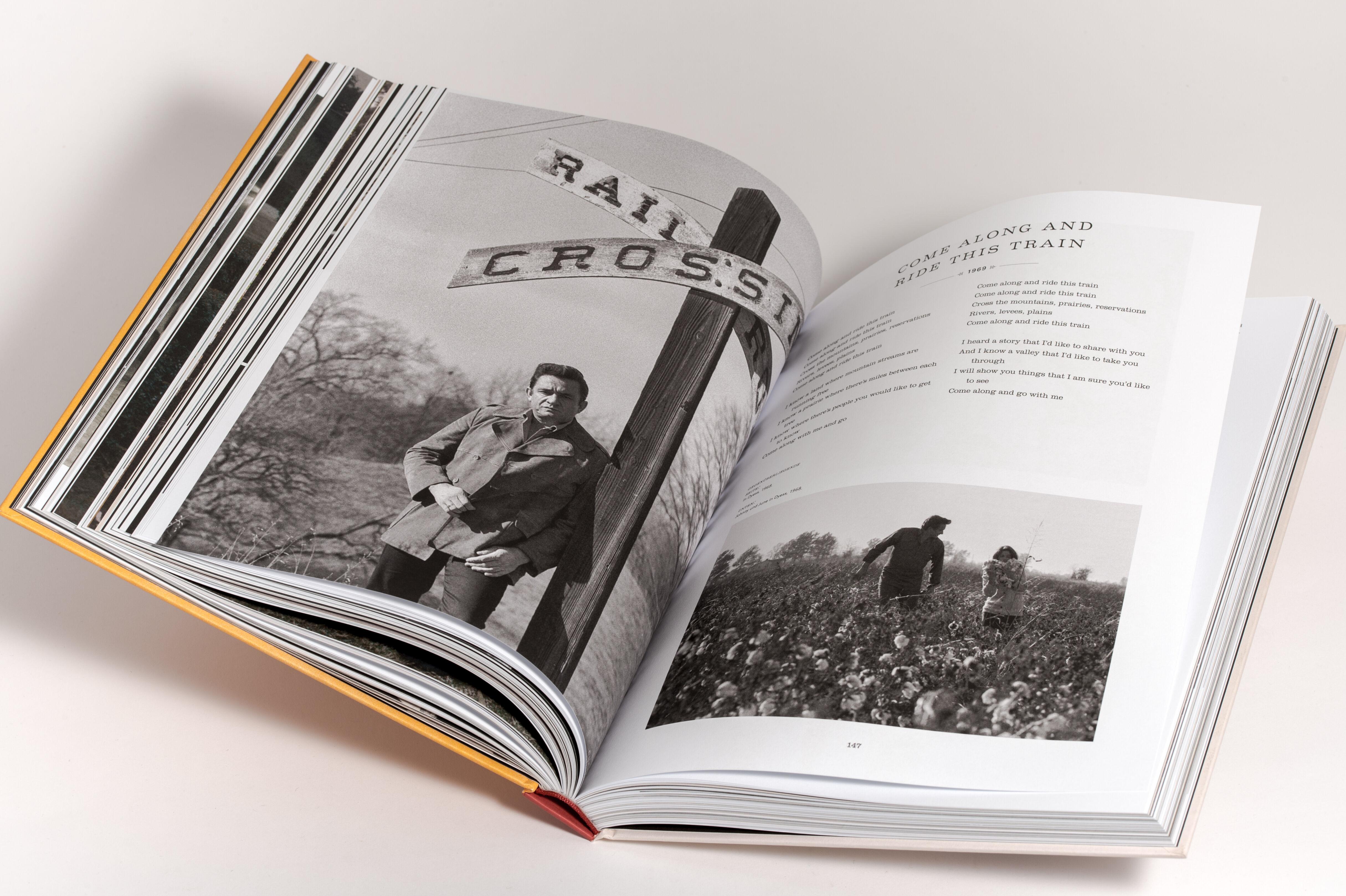 Beispielinhalt (Bild) The Life in Lyrics