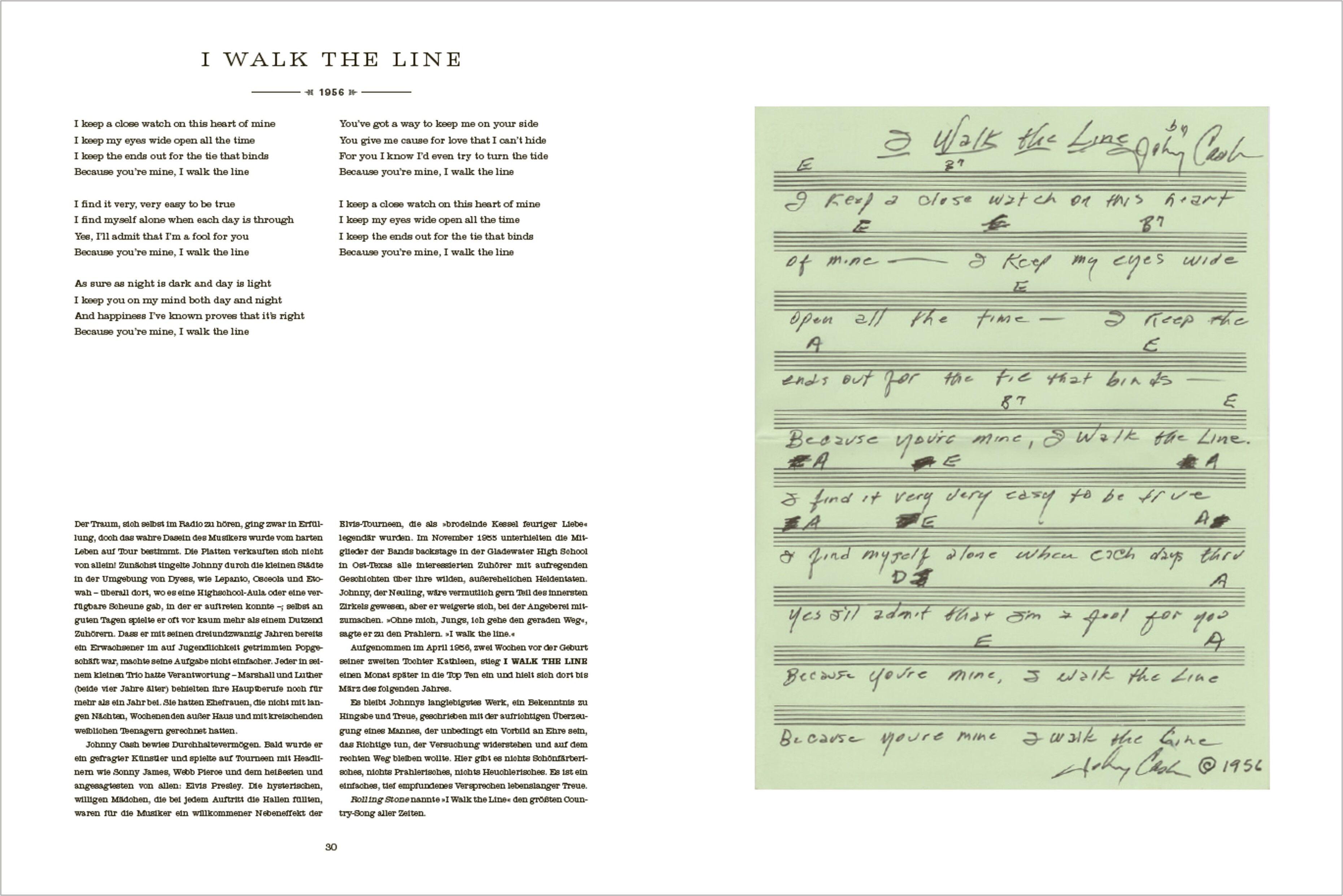 Beispielinhalt (Bild) The Life in Lyrics