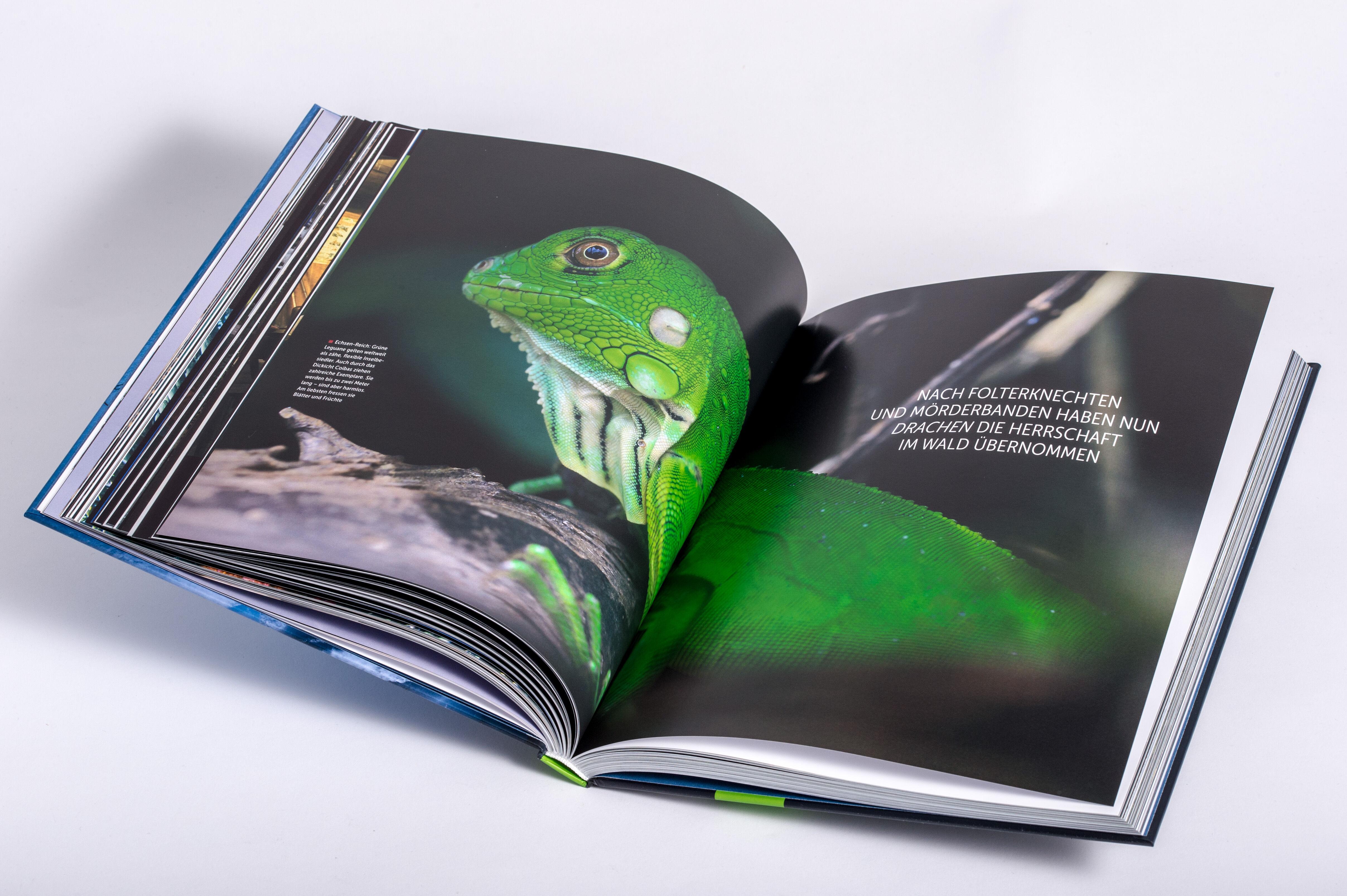 Beispielinhalt (Bild) Bis an den Rand der Welt