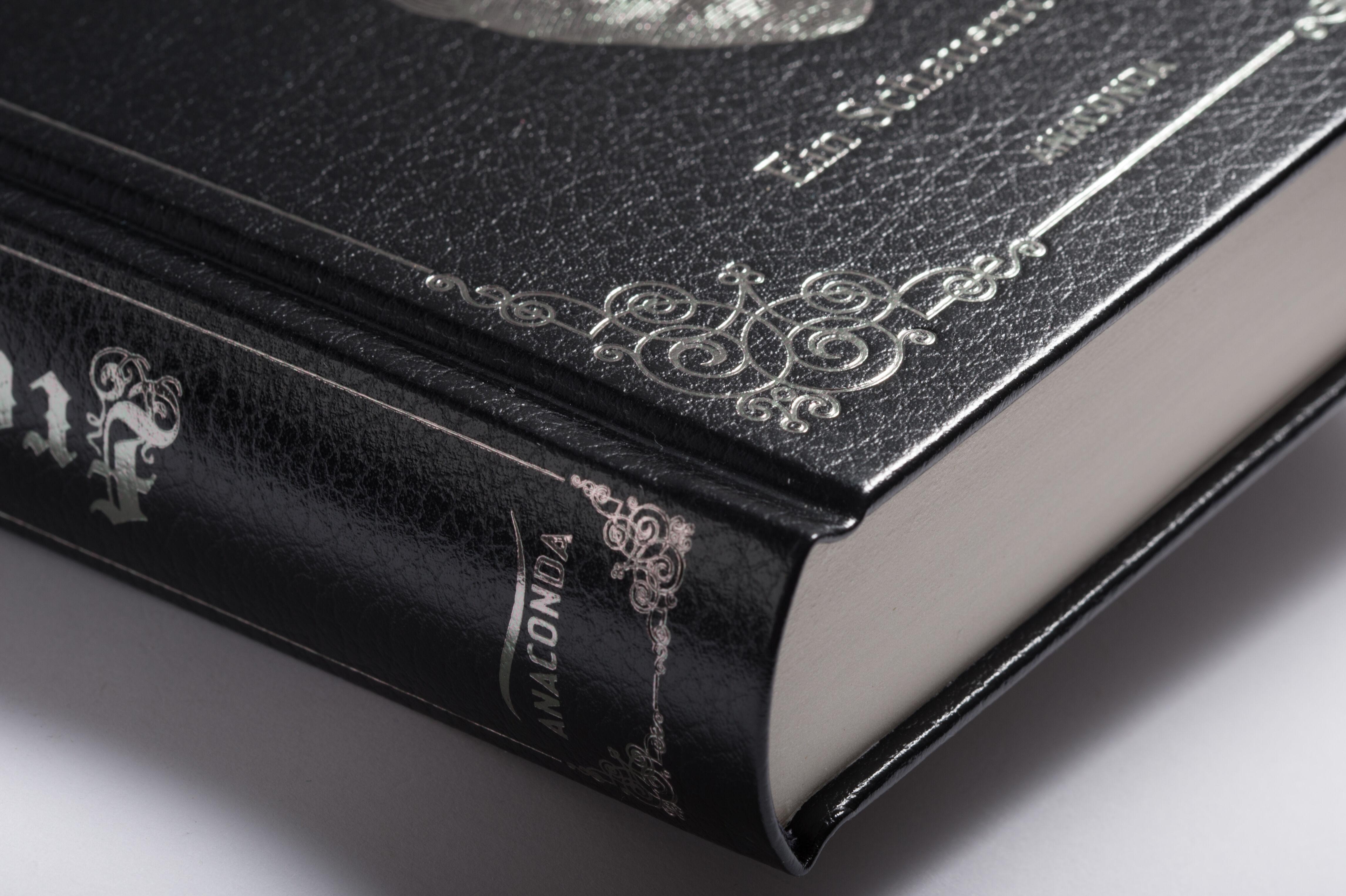 Beispielinhalt (Bild) Frankenstein. Ein Schauerroman