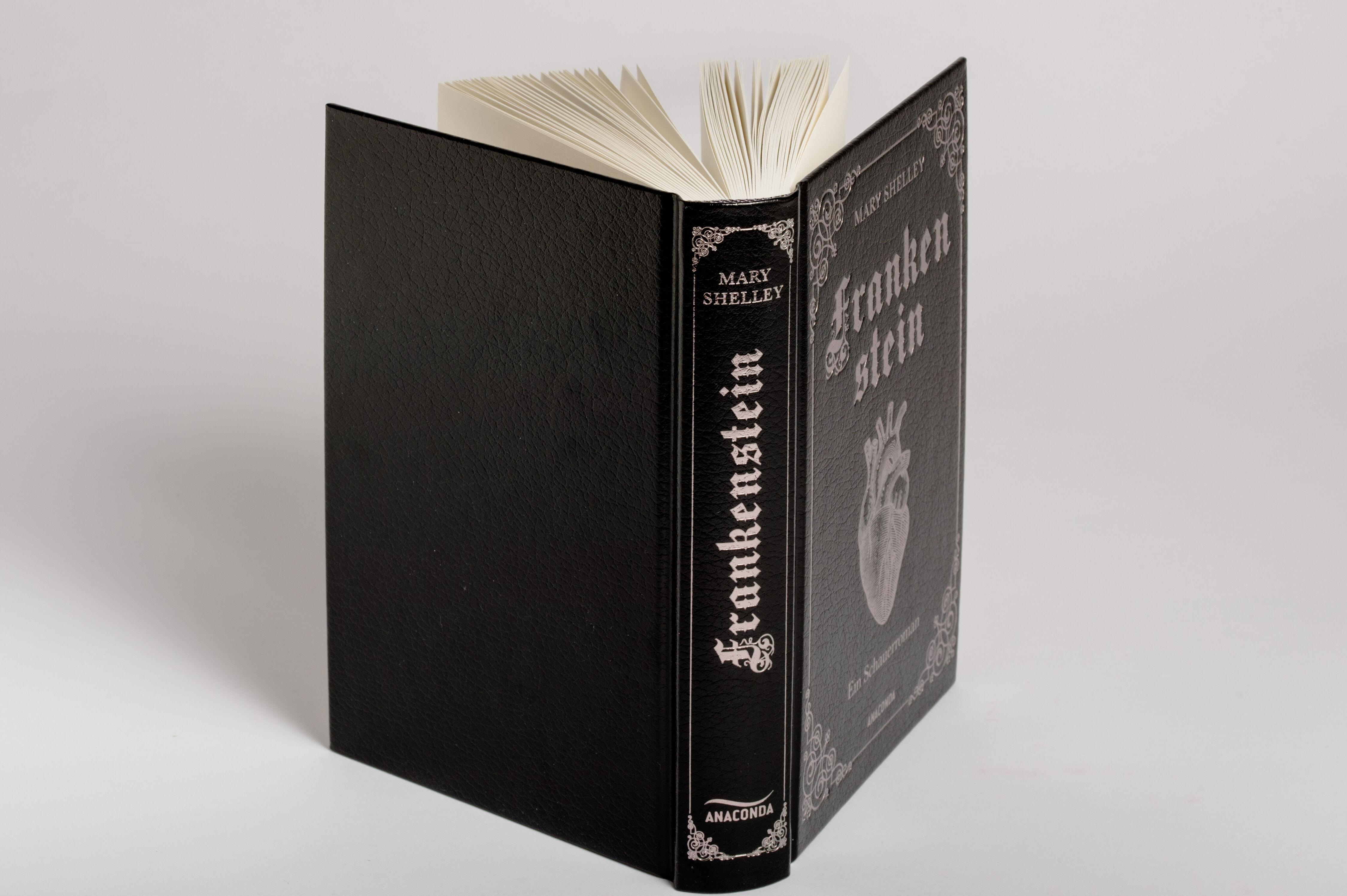 Beispielinhalt (Bild) Frankenstein. Ein Schauerroman