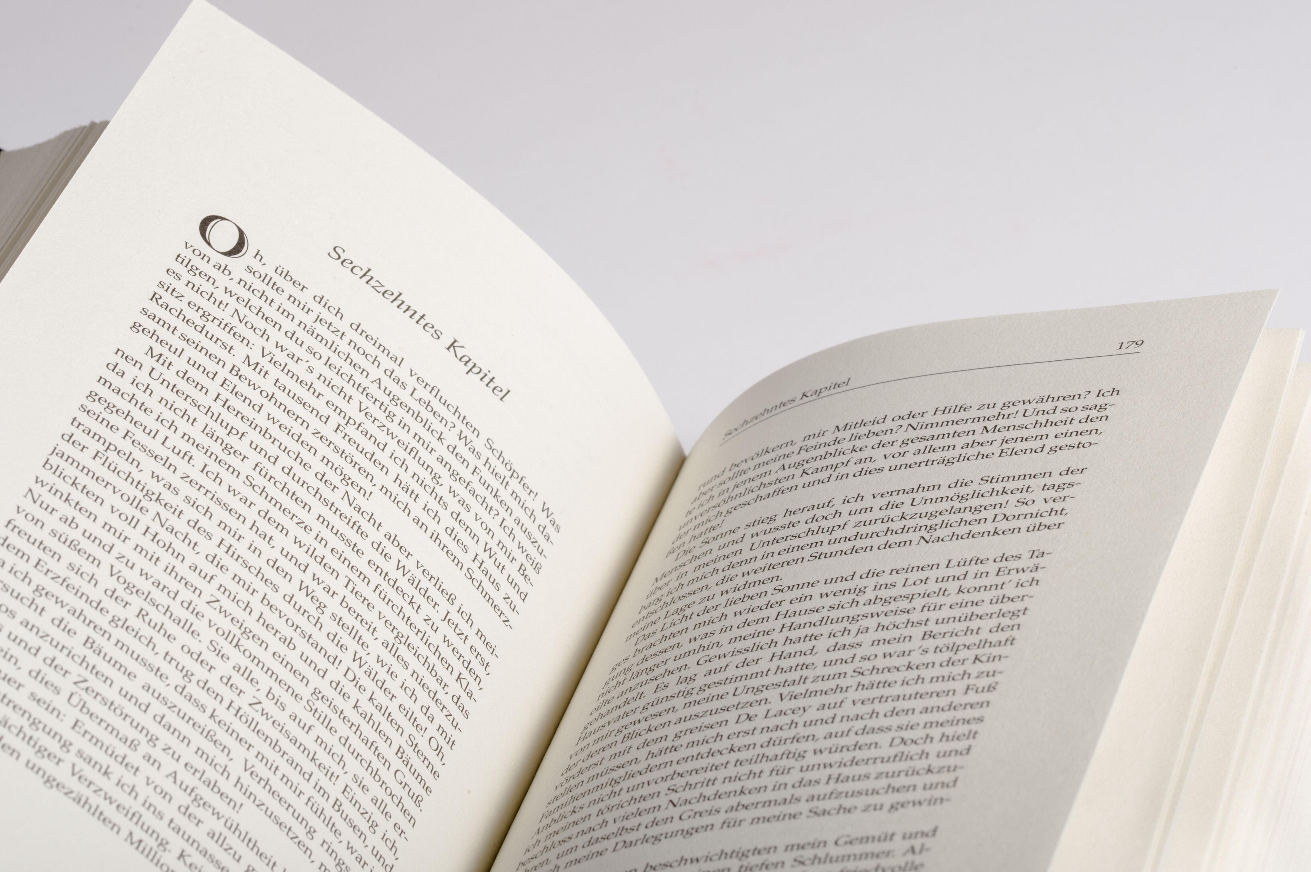 Beispielinhalt (Bild) Frankenstein. Ein Schauerroman