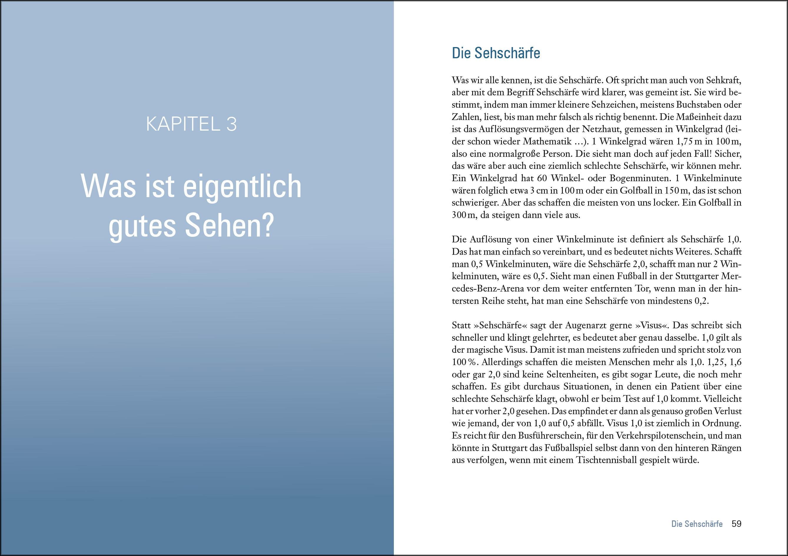 Beispielinhalt (Bild) Das große Buch vom Auge