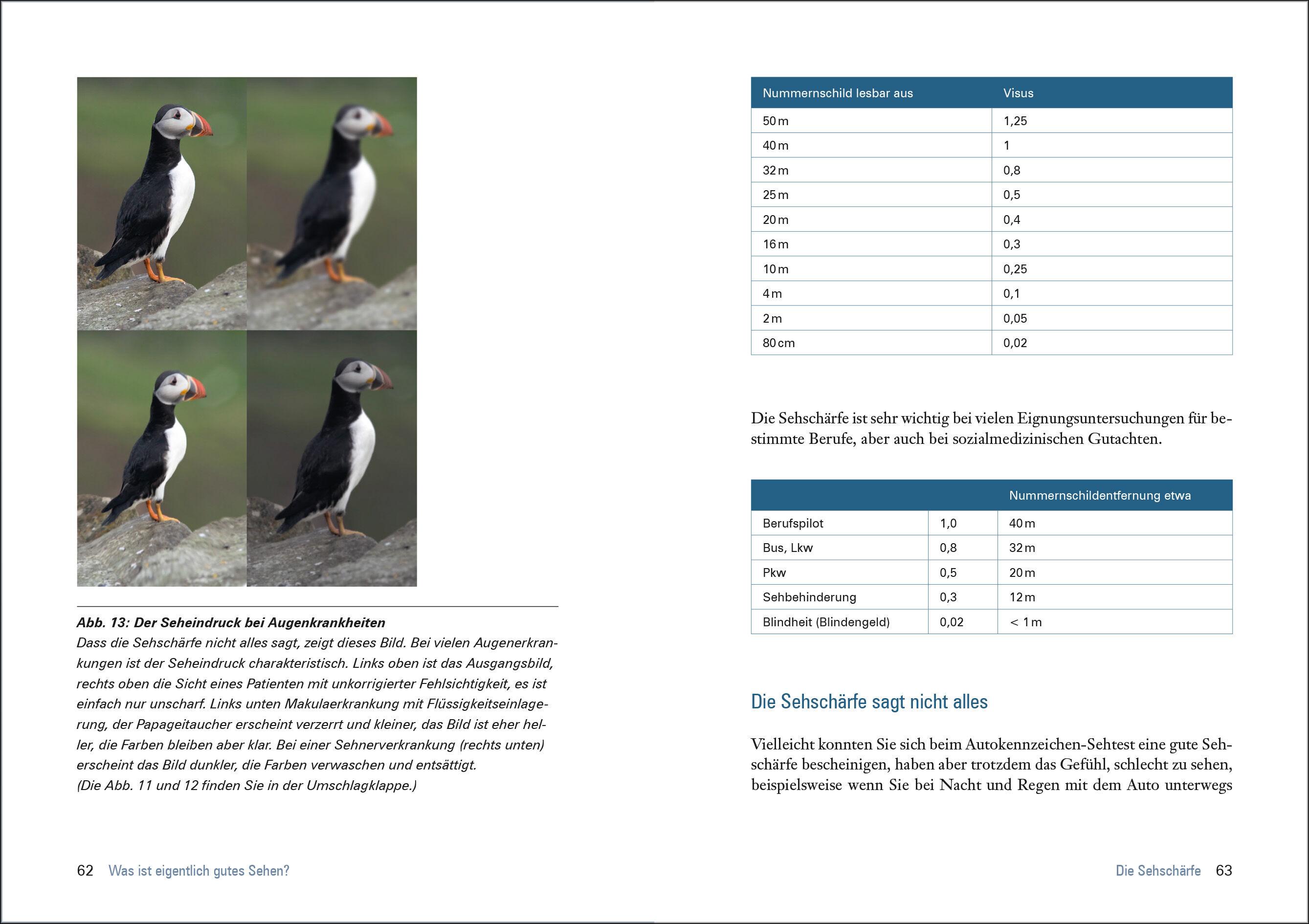 Beispielinhalt (Bild) Das große Buch vom Auge