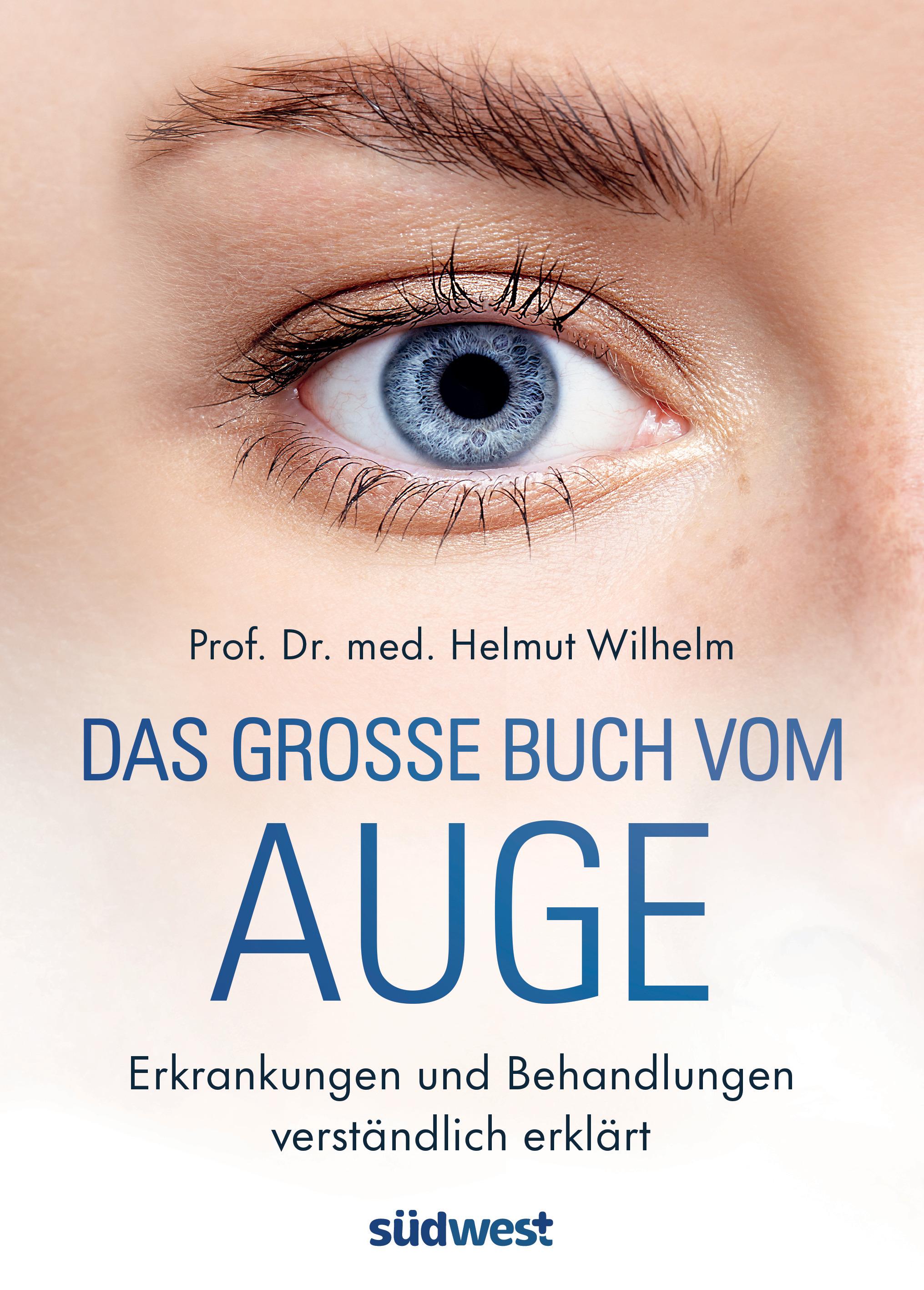Vorderes Coverbild Das große Buch vom Auge
