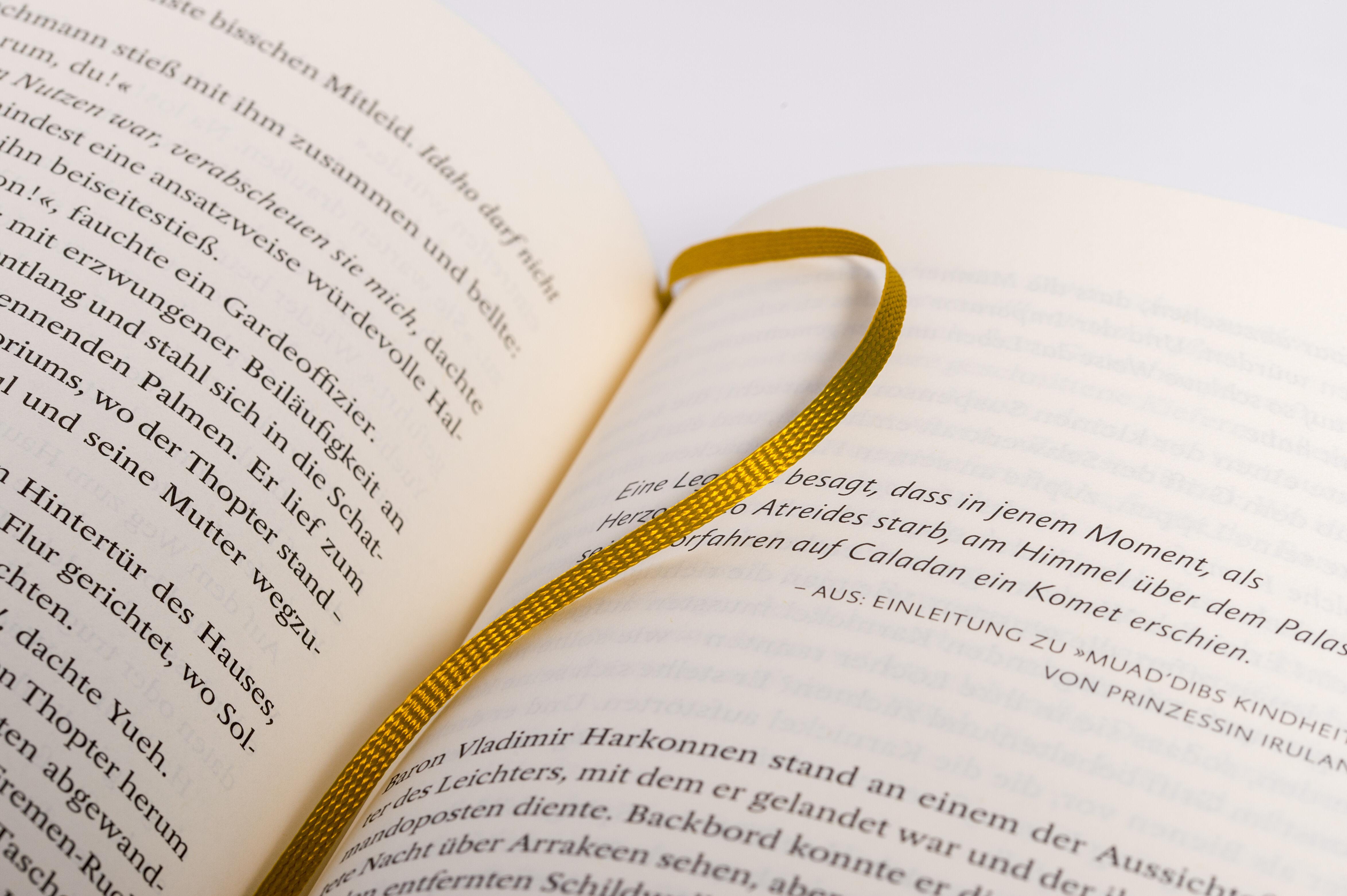 Beispielinhalt (Bild) Dune - Der Wüstenplanet