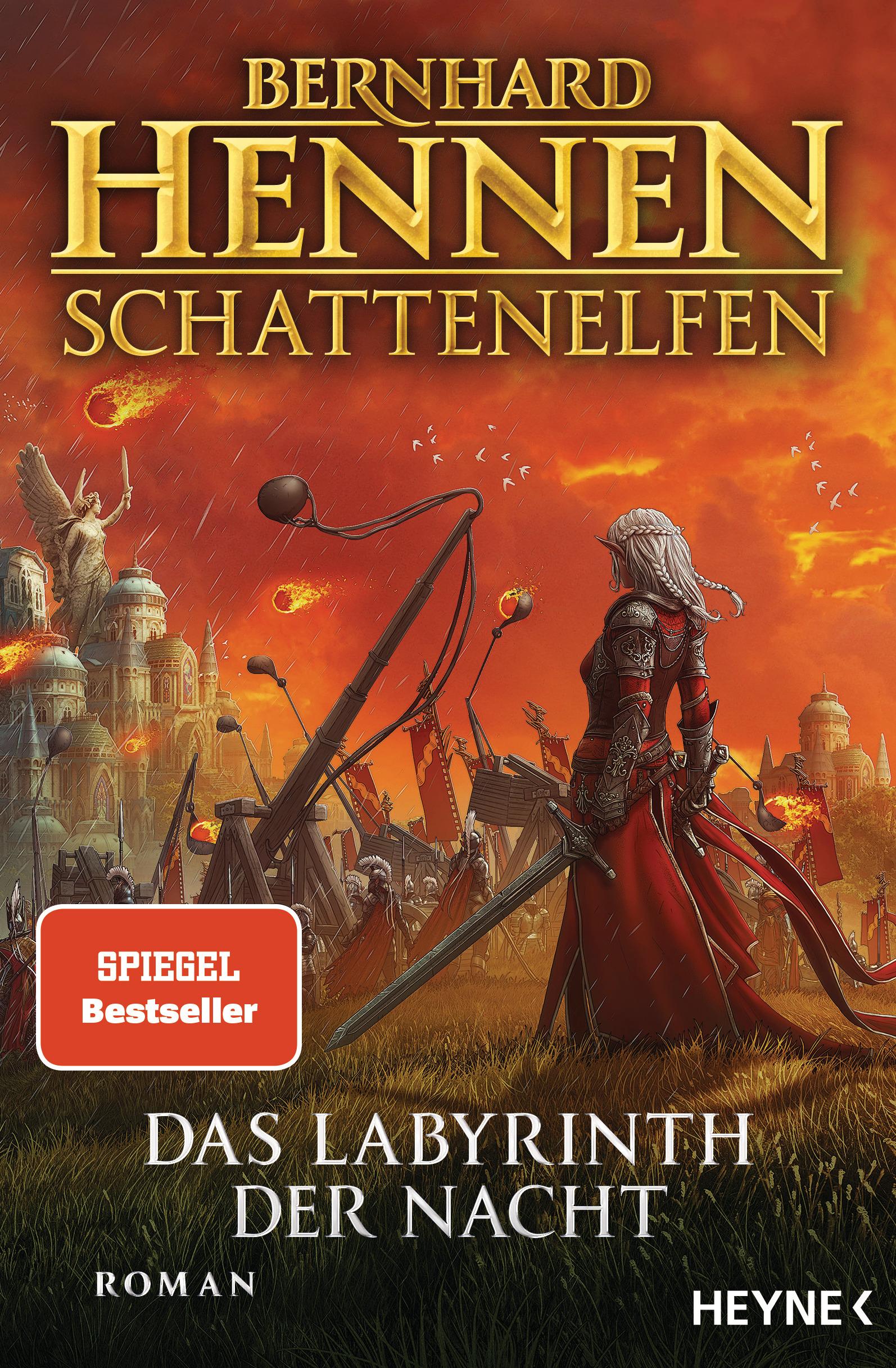Vorderes Coverbild Schattenelfen - Das Labyrinth der Nacht