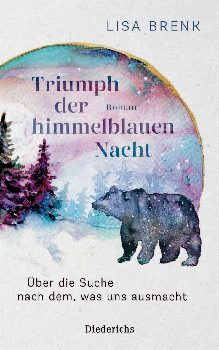 Vorderes Coverbild Triumph der himmelblauen Nacht