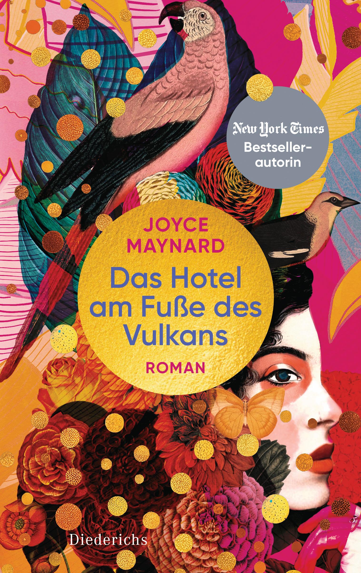 Vorderes Coverbild Das Hotel am Fuße des Vulkans
