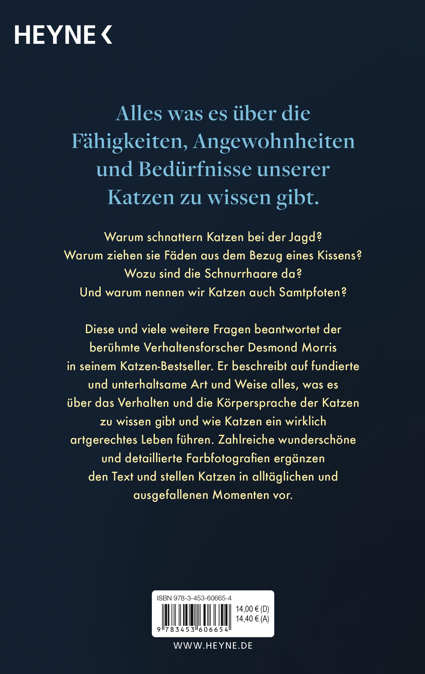 Beispielinhalt (Bild) Catwatching