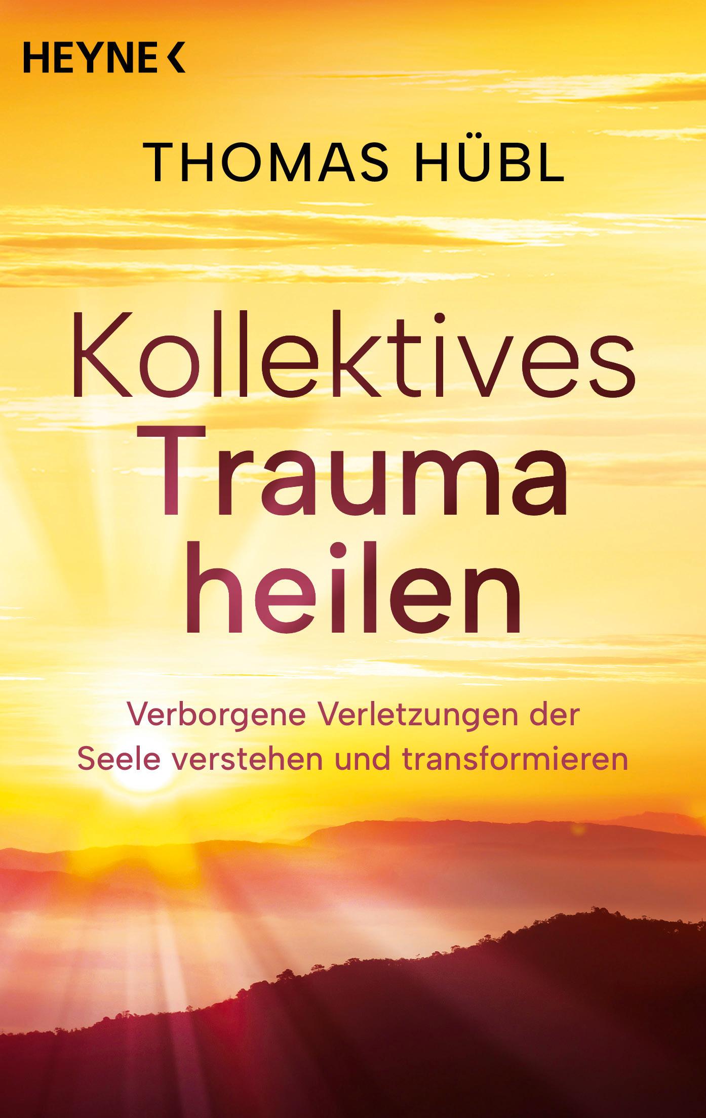 Vorderes Coverbild Kollektives Trauma heilen