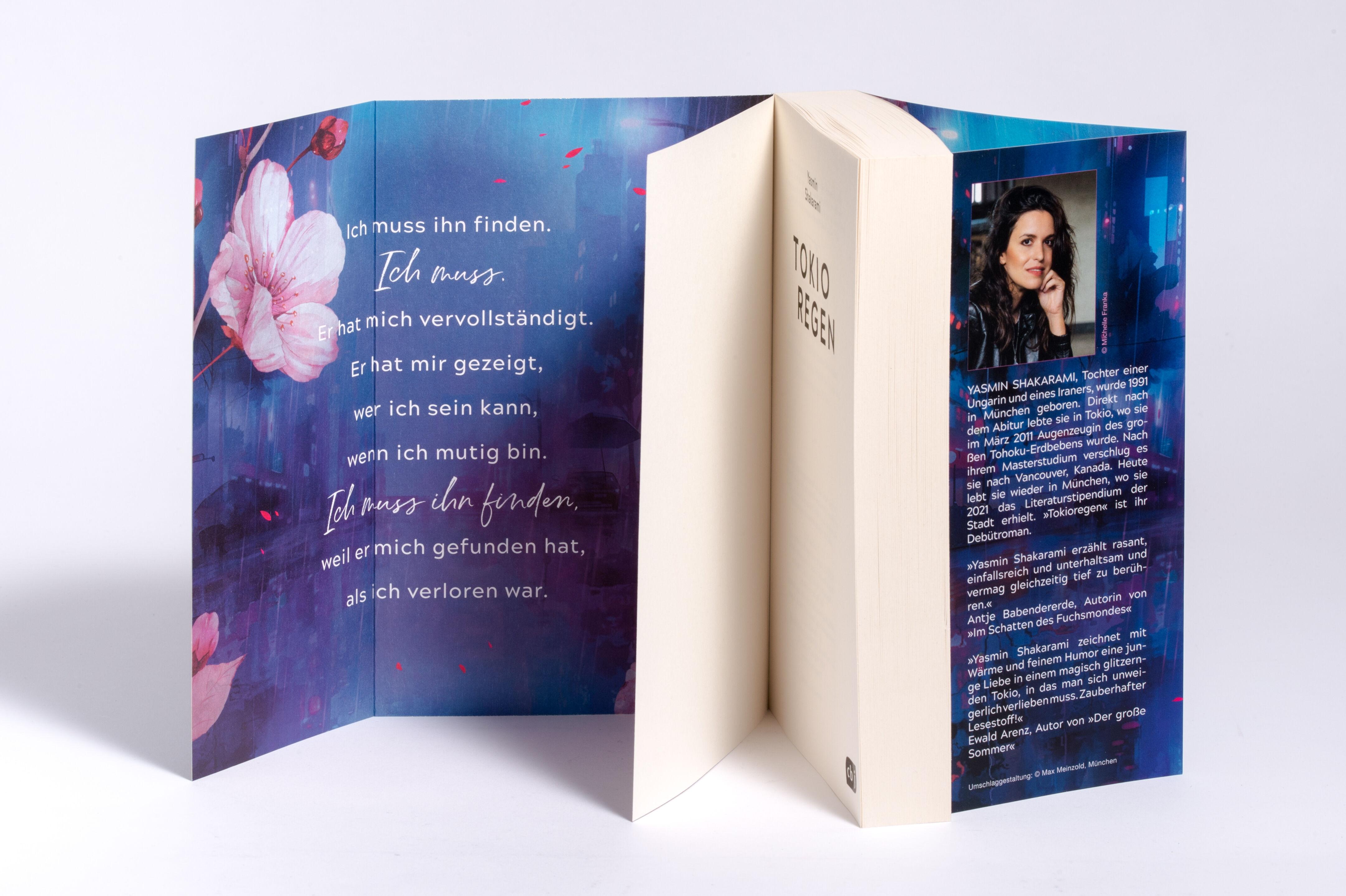 Beispielinhalt (Bild) Tokioregen