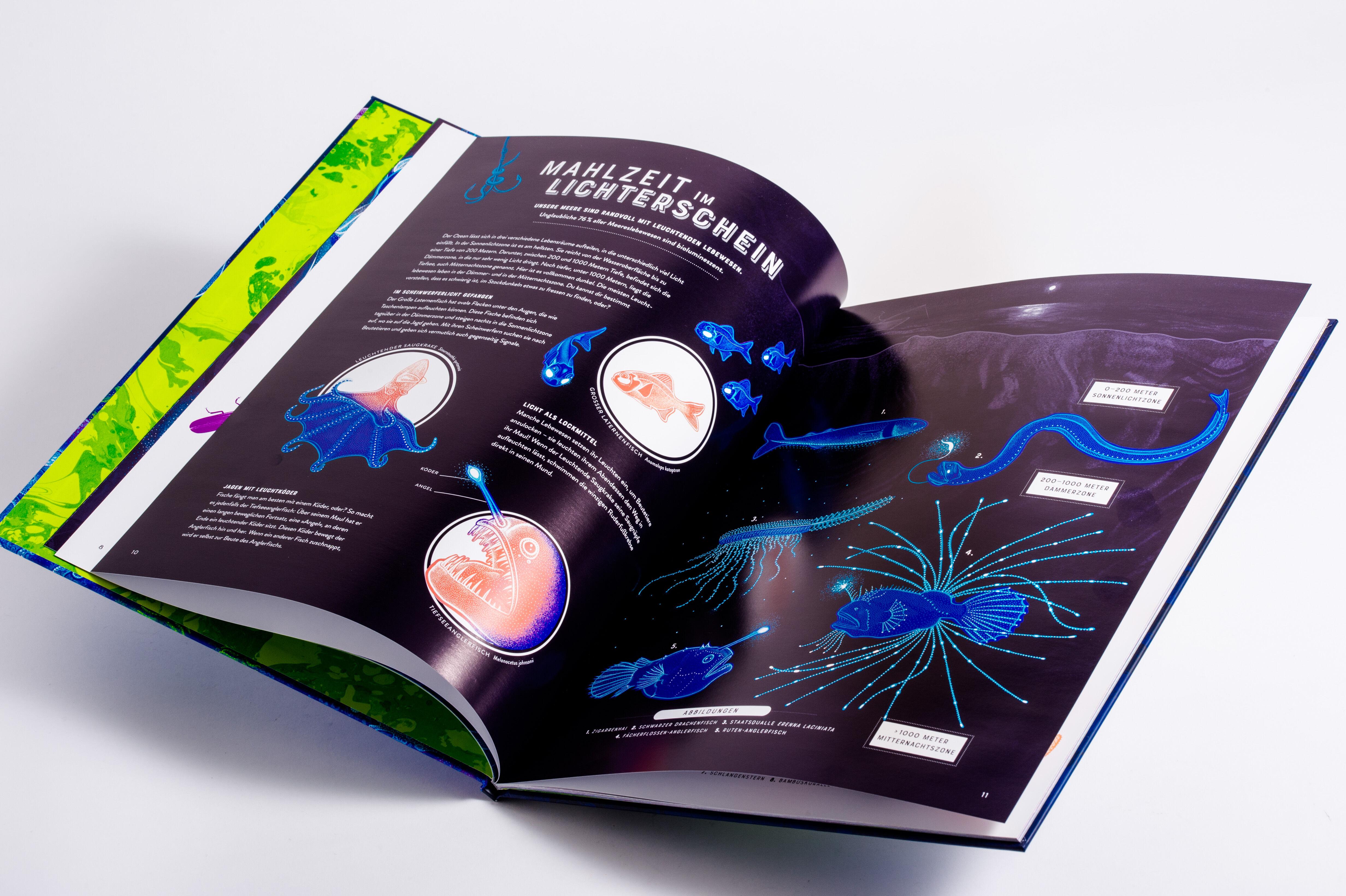 Beispielinhalt (Bild) Glow - Das wundersame Leuchten der Natur