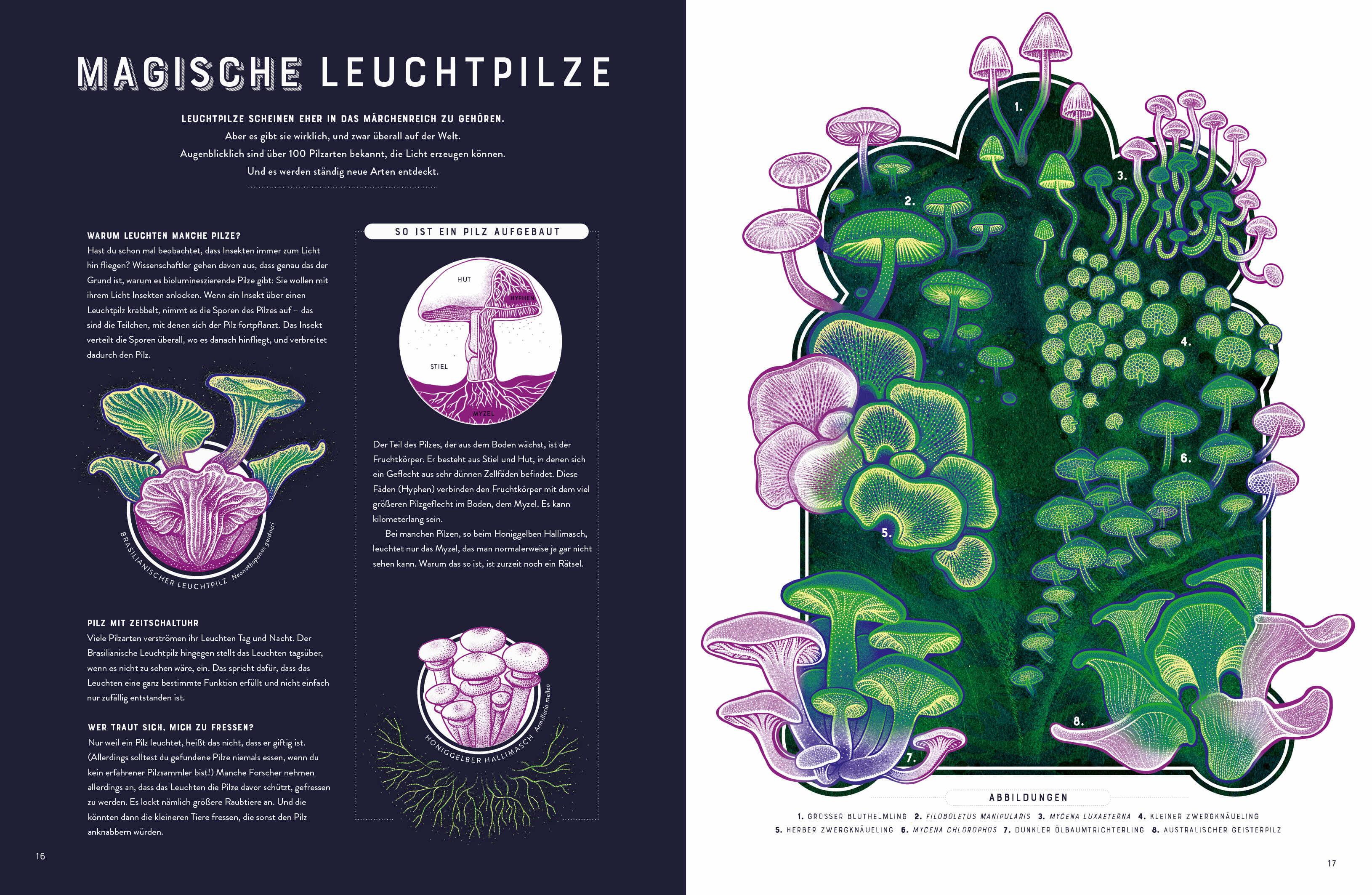 Beispielinhalt (Bild) Glow - Das wundersame Leuchten der Natur