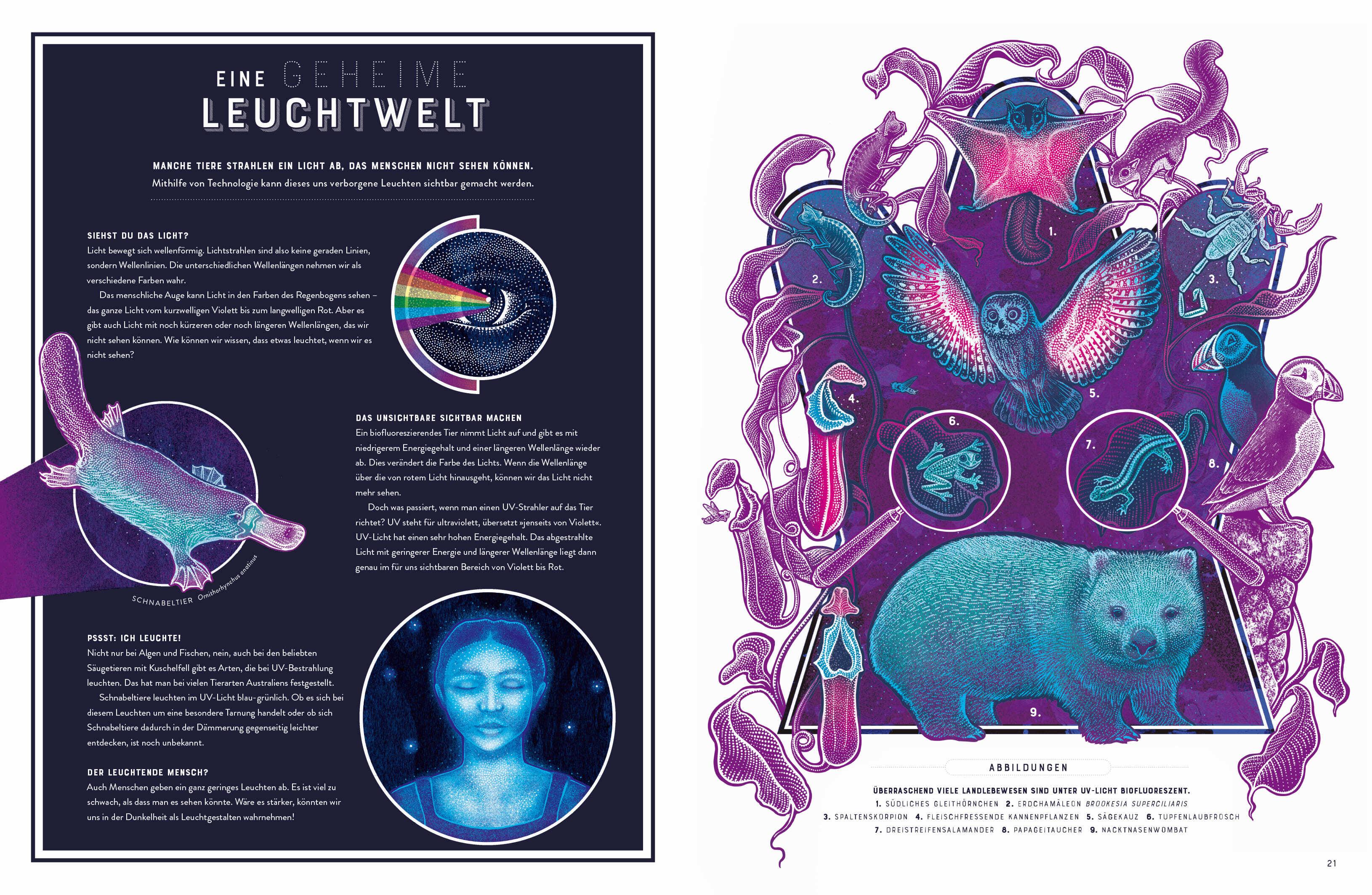 Beispielinhalt (Bild) Glow - Das wundersame Leuchten der Natur