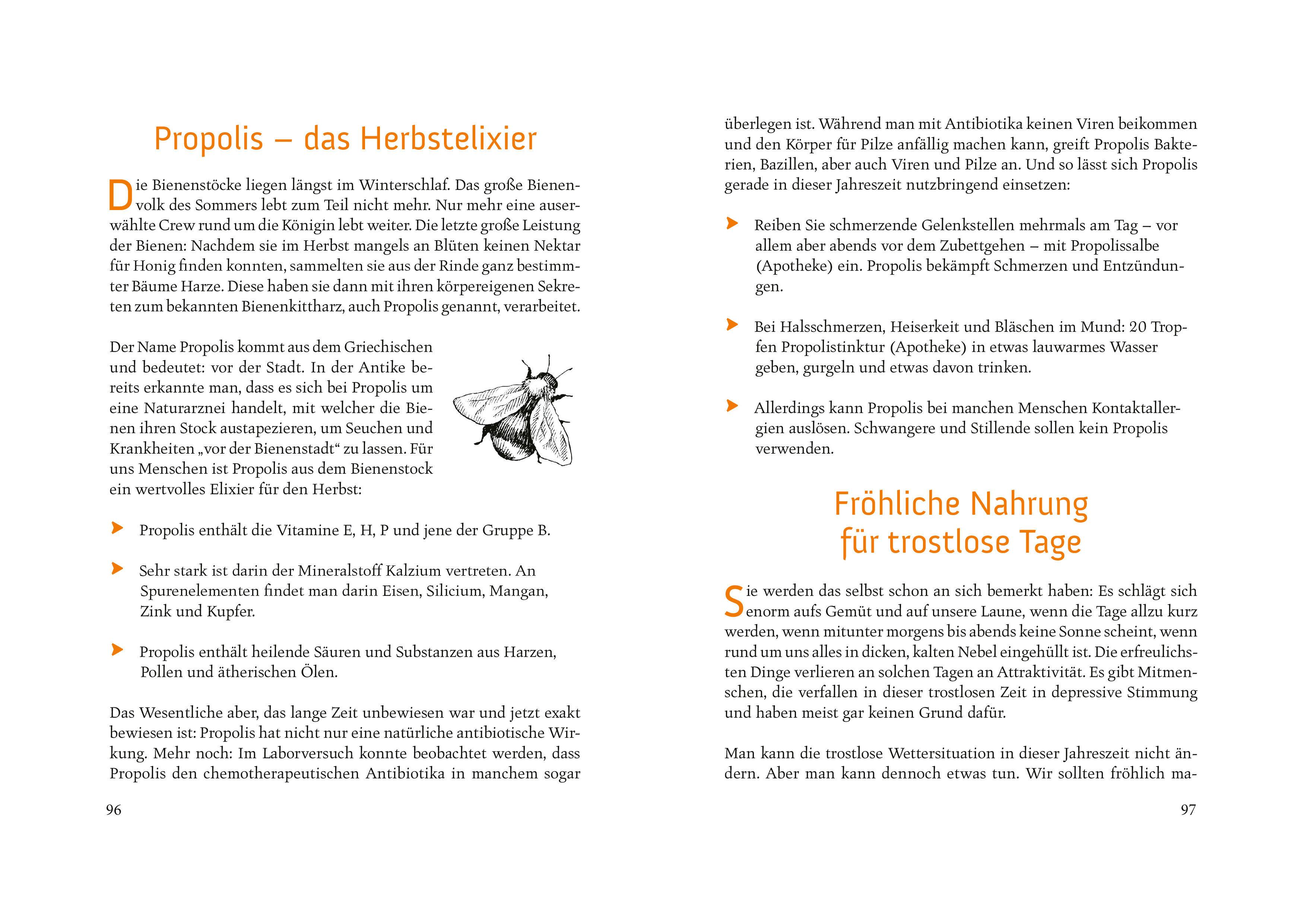 Beispielinhalt (Bild) Fit durchs Jahr. Gesundheitstipps für alle Jahreszeiten. Gesund bleiben und wieder werden