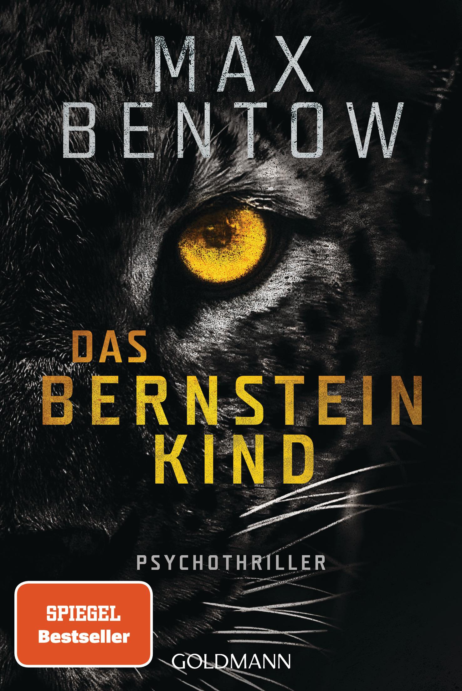 Vorderes Coverbild Das Bernsteinkind