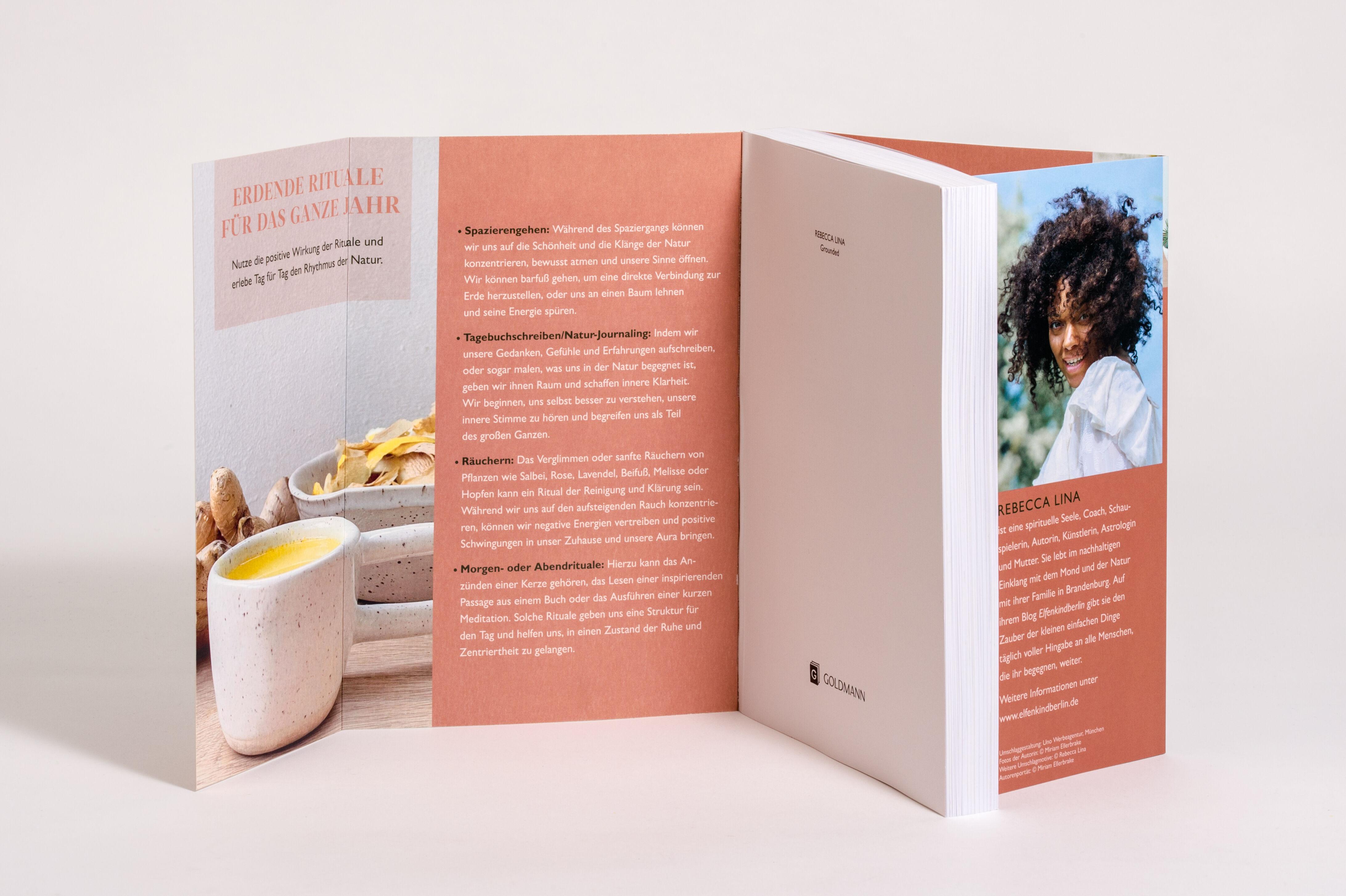 Beispielinhalt (Bild) Grounded