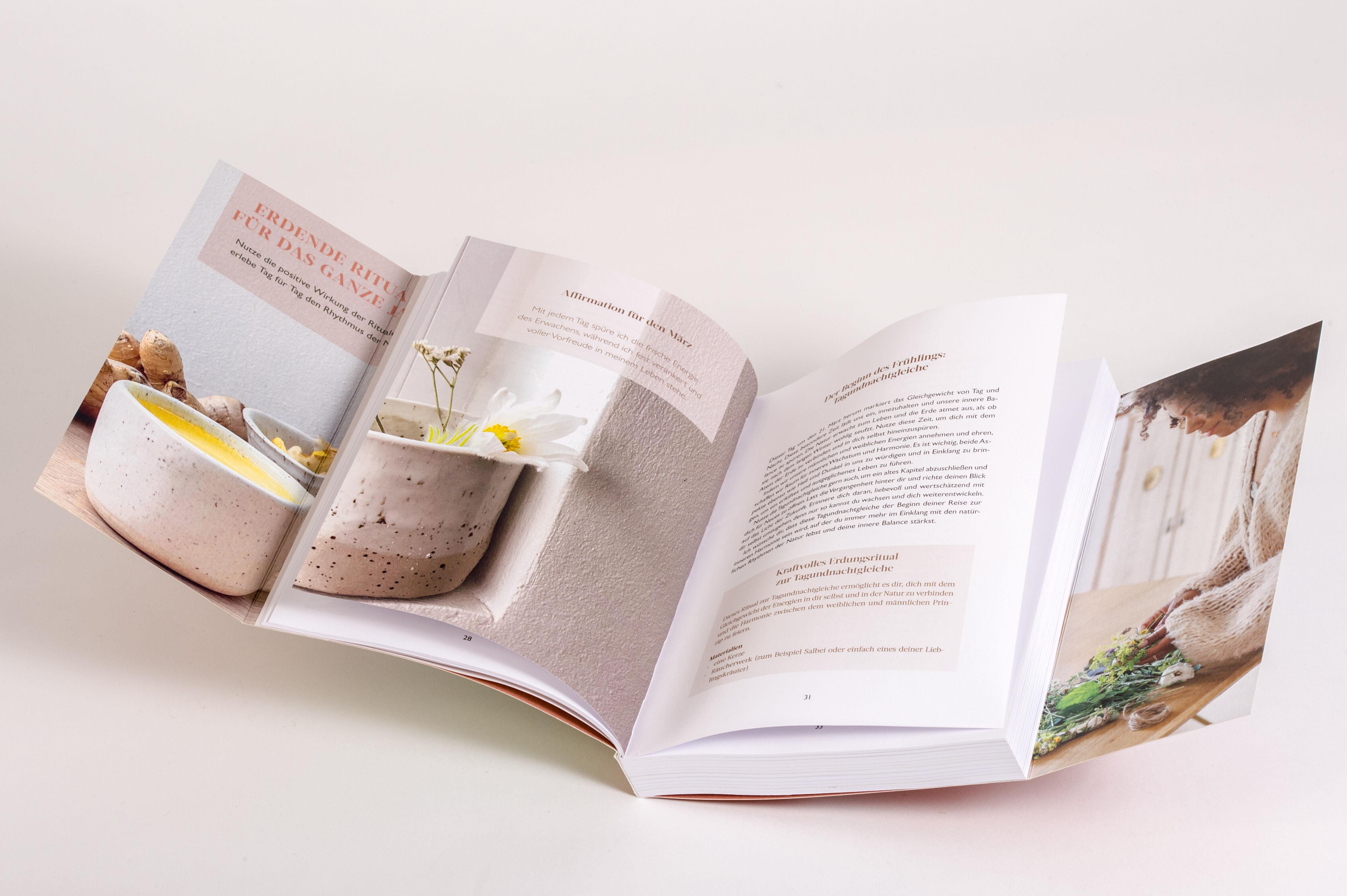 Beispielinhalt (Bild) Grounded