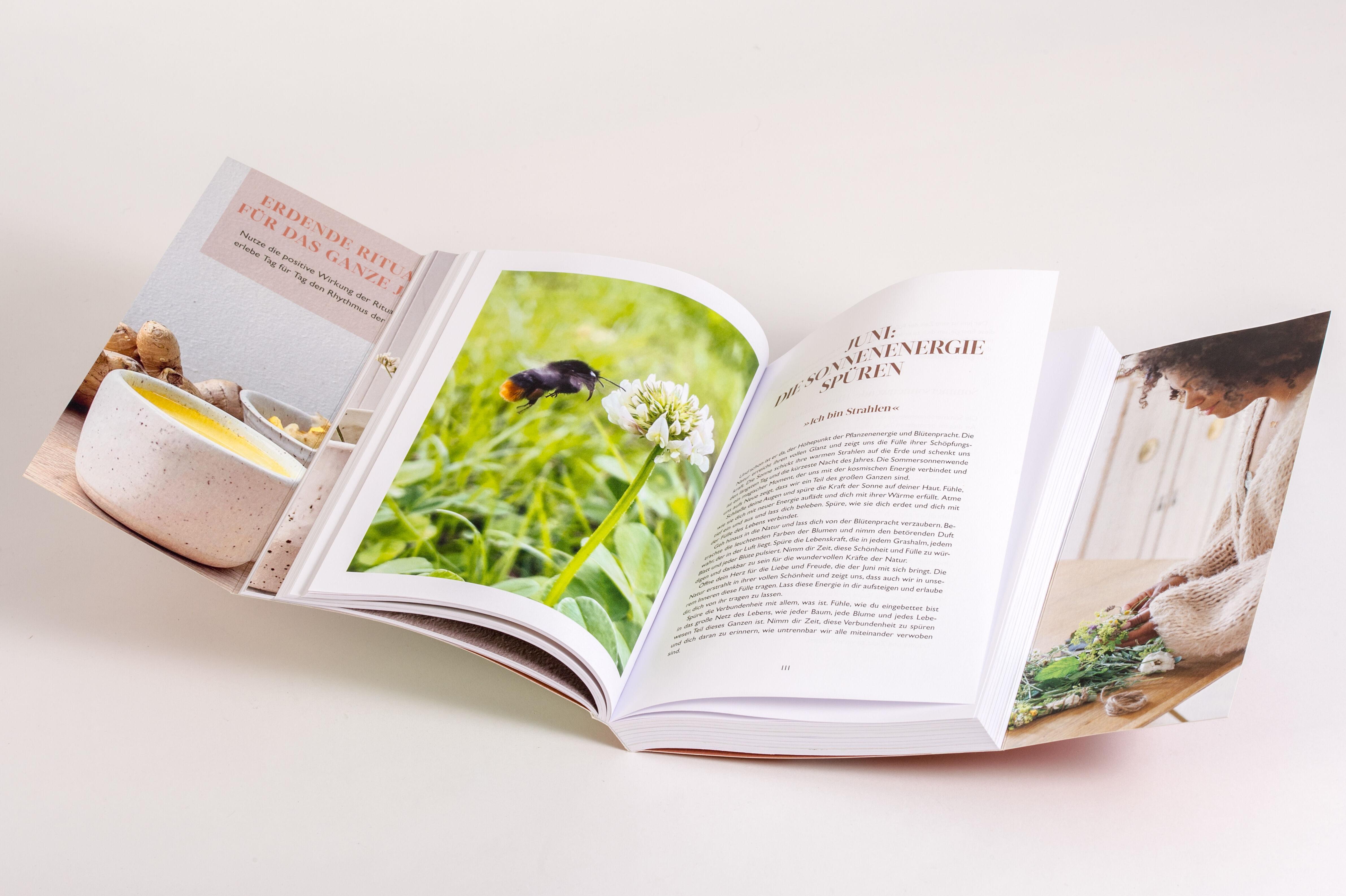 Beispielinhalt (Bild) Grounded