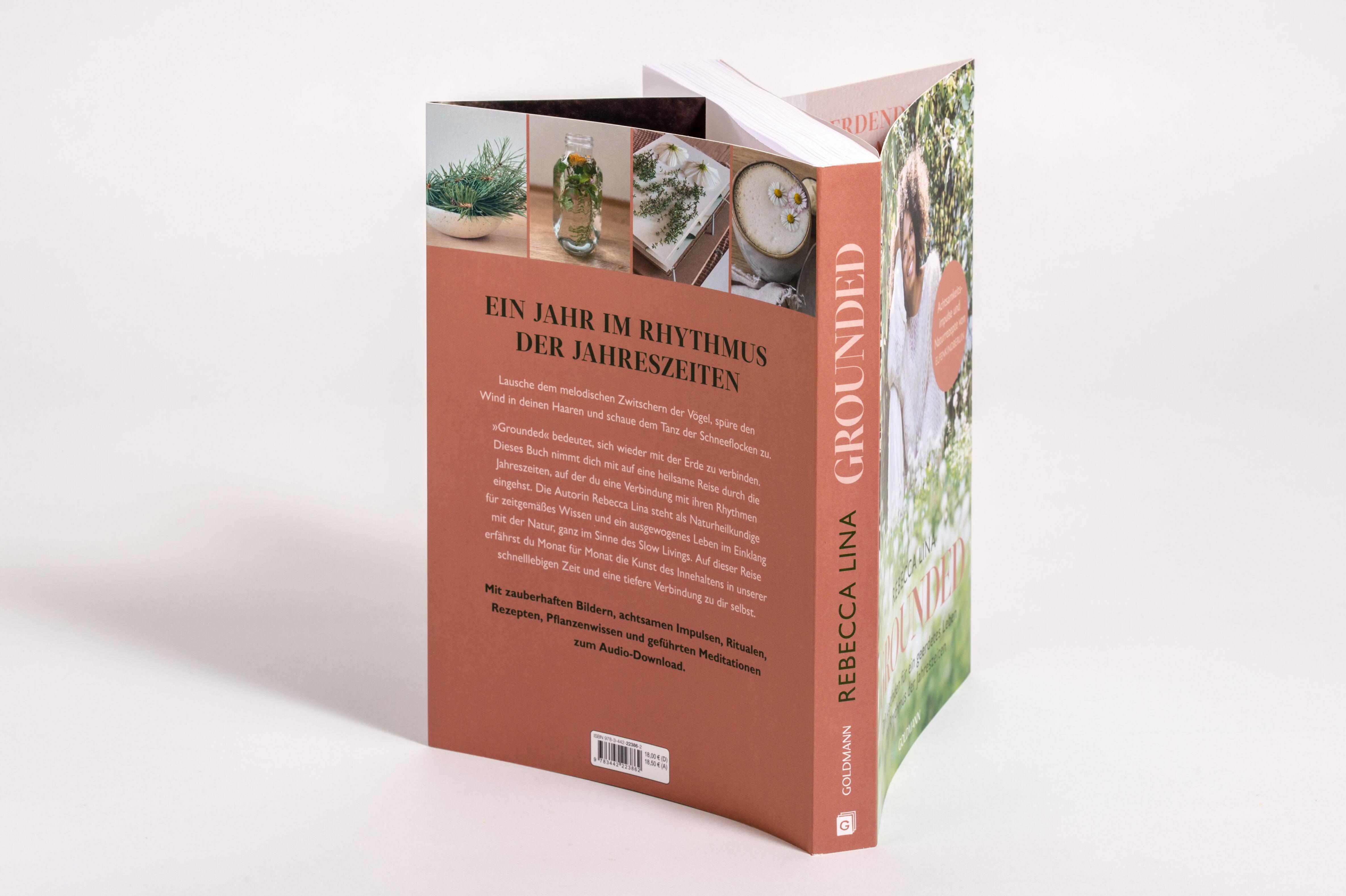 Beispielinhalt (Bild) Grounded