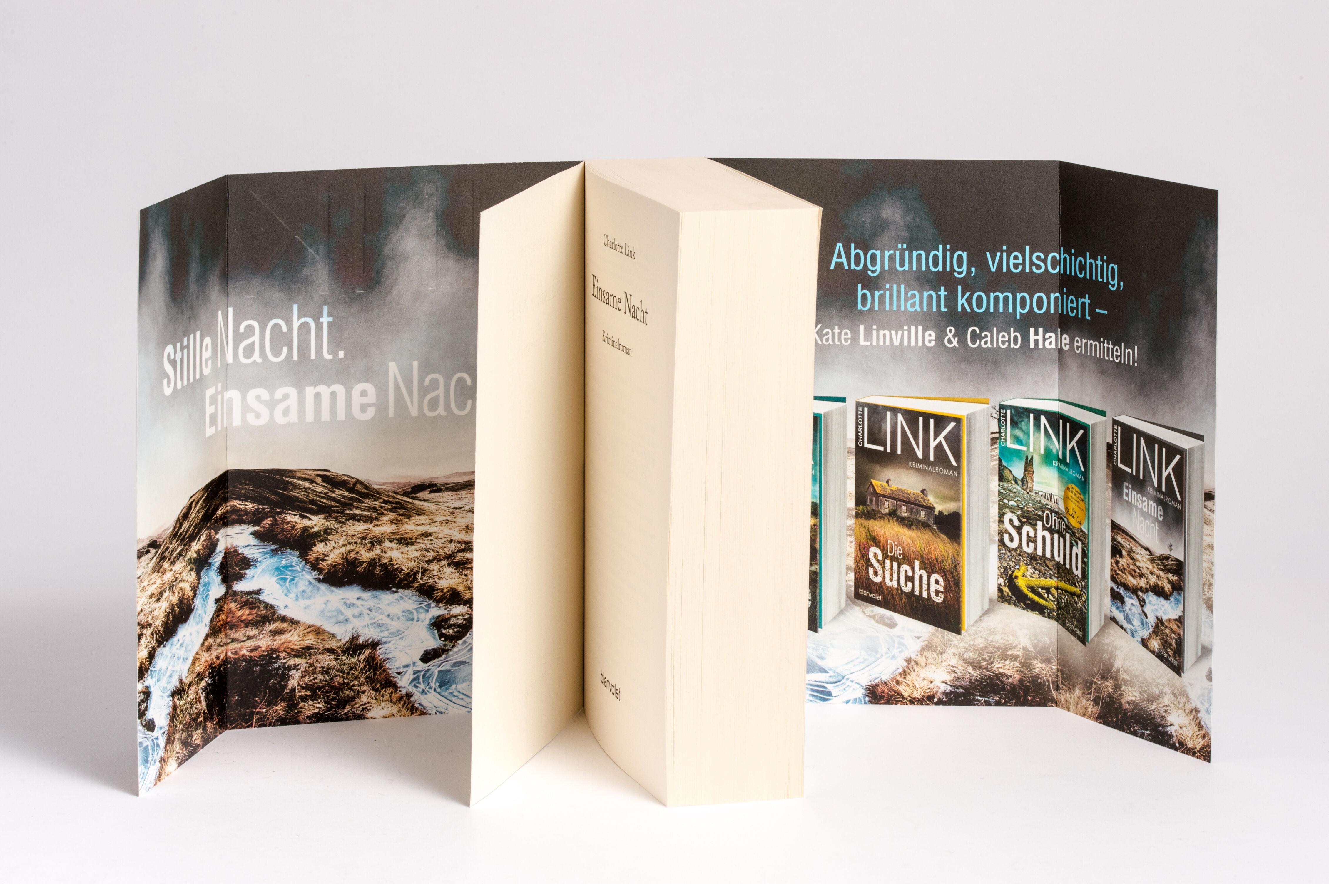 Beispielinhalt (Bild) Einsame Nacht