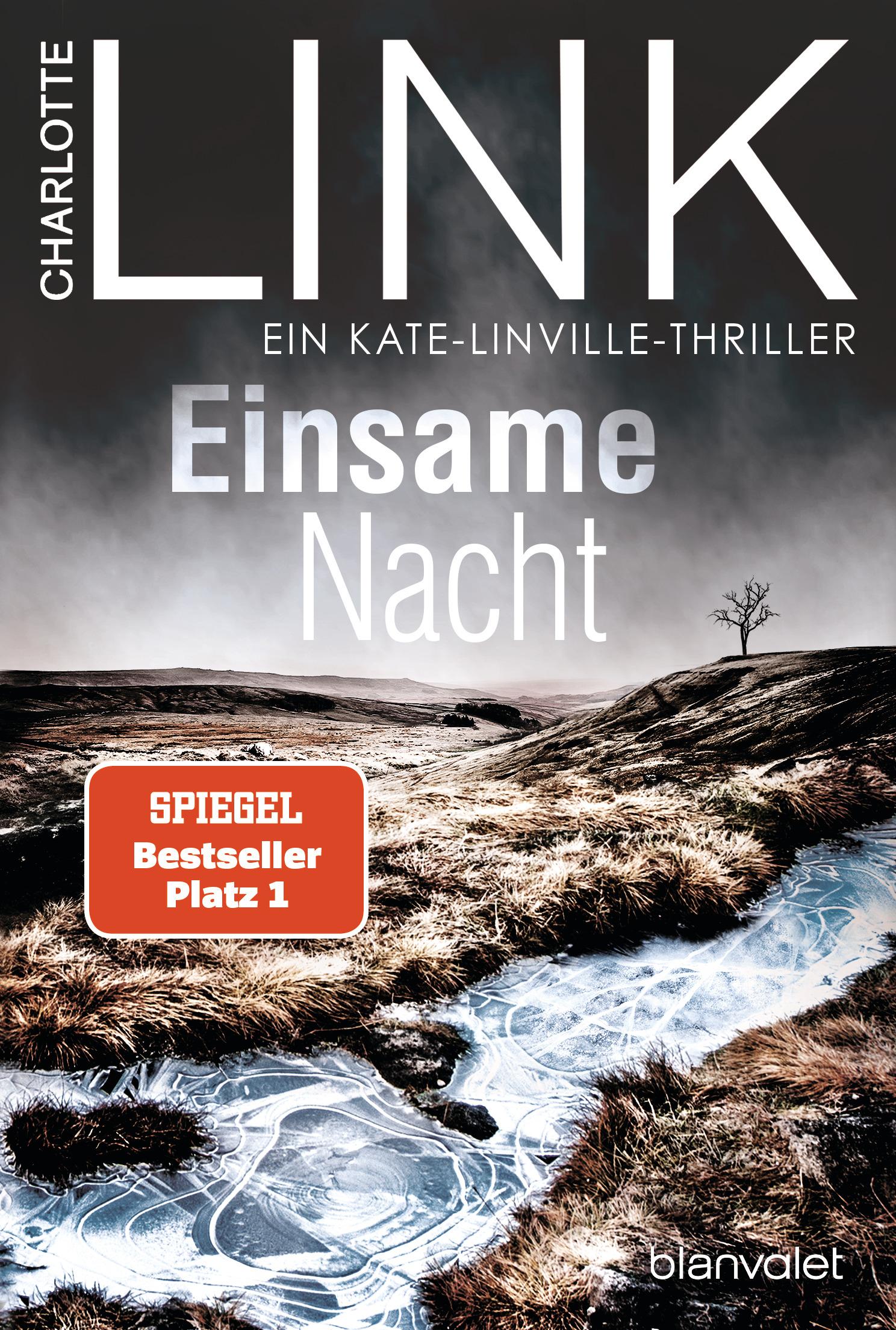 Vorderes Coverbild Einsame Nacht