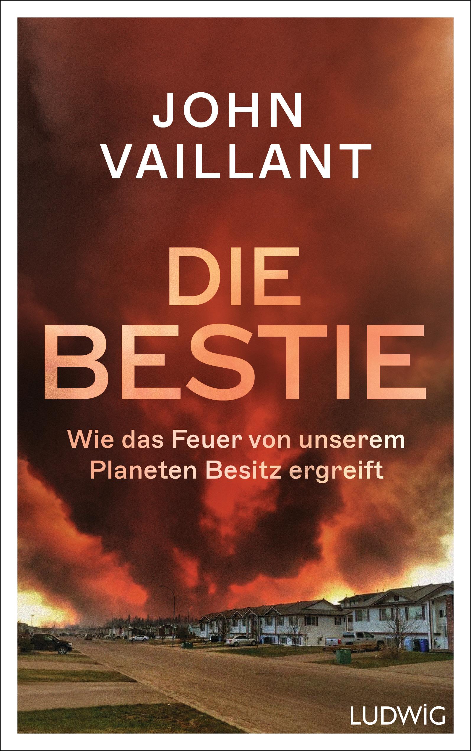 Vorderes Coverbild Die Bestie