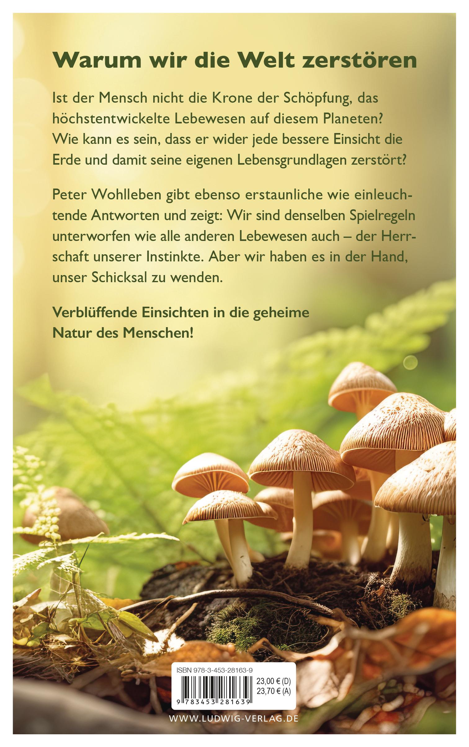 Beispielinhalt (Bild) Unser wildes Erbe