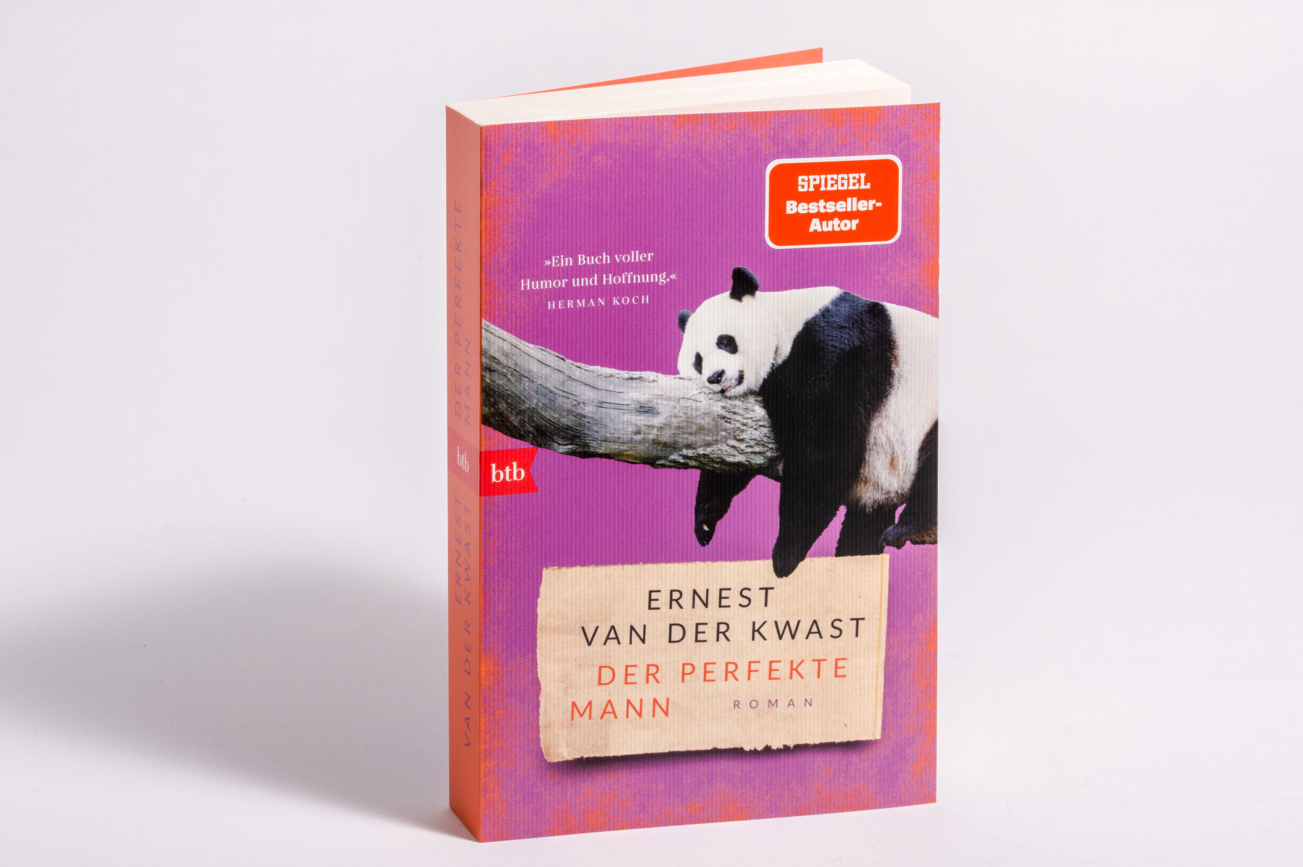 Beispielinhalt (Bild) Der perfekte Mann